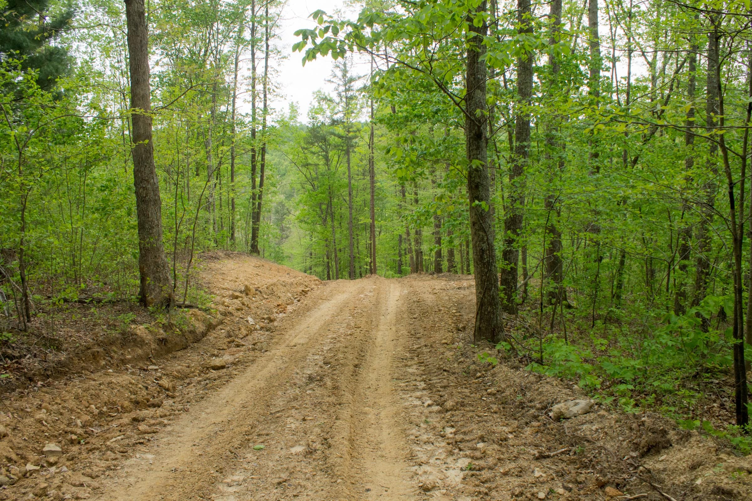 Trails End Tract 13 photo 14