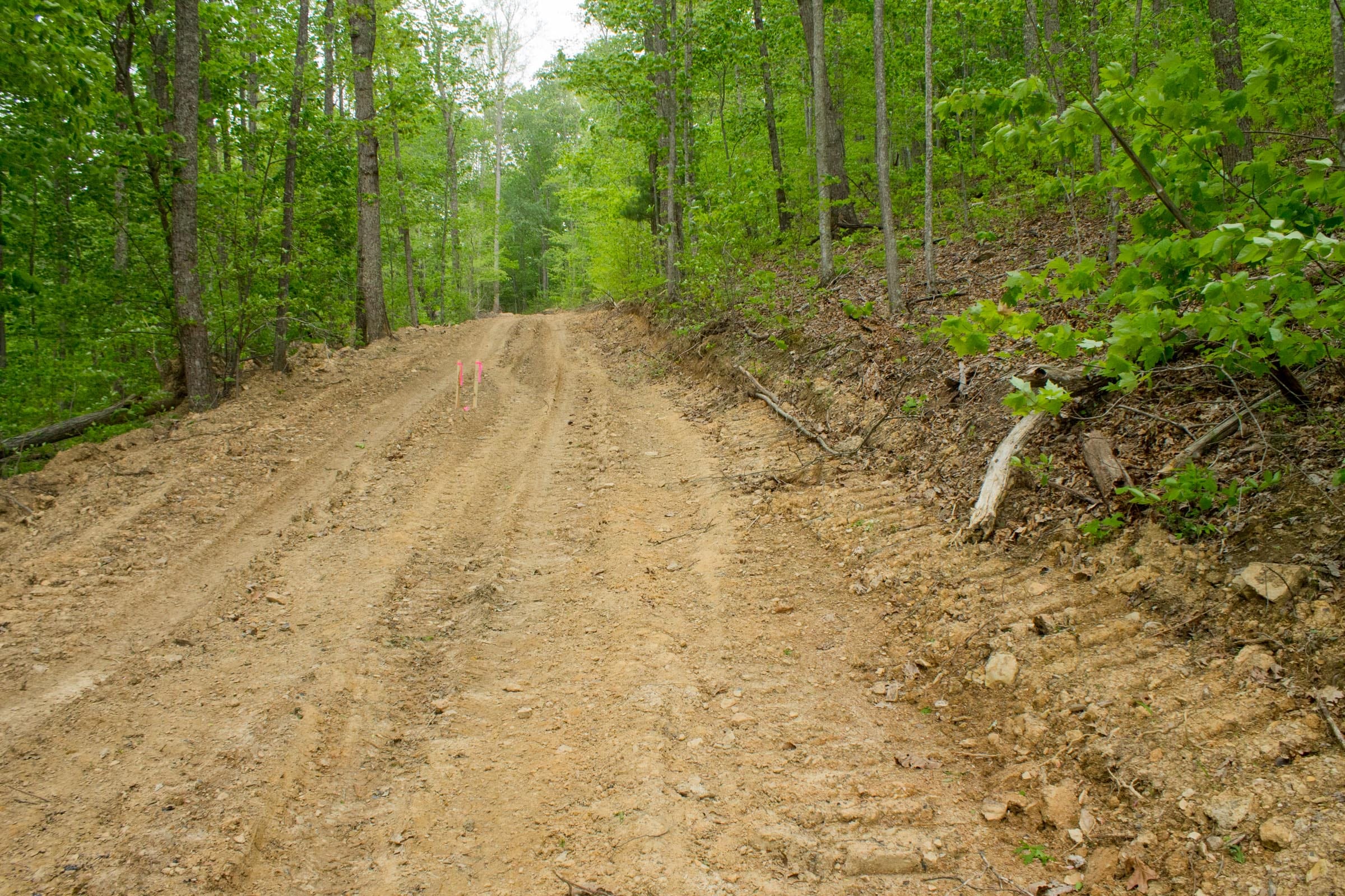 Trails End Tract 13 photo 15