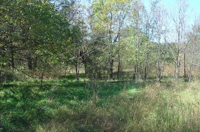 Hannubby Creek Tract 3 photo 4