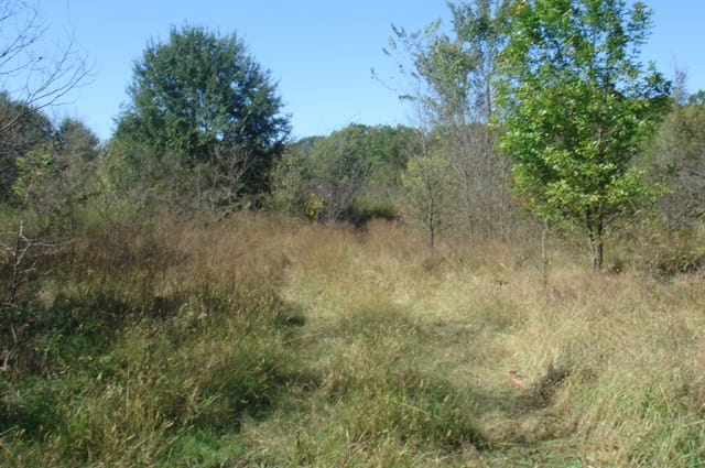 Hannubby Creek Tract 3 photo 5