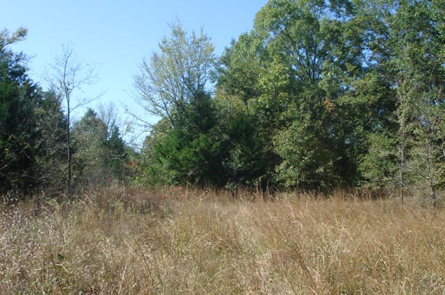 Hannubby Creek Tract 3 photo 8