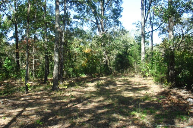 Hannubby Creek Tract 3 photo 9