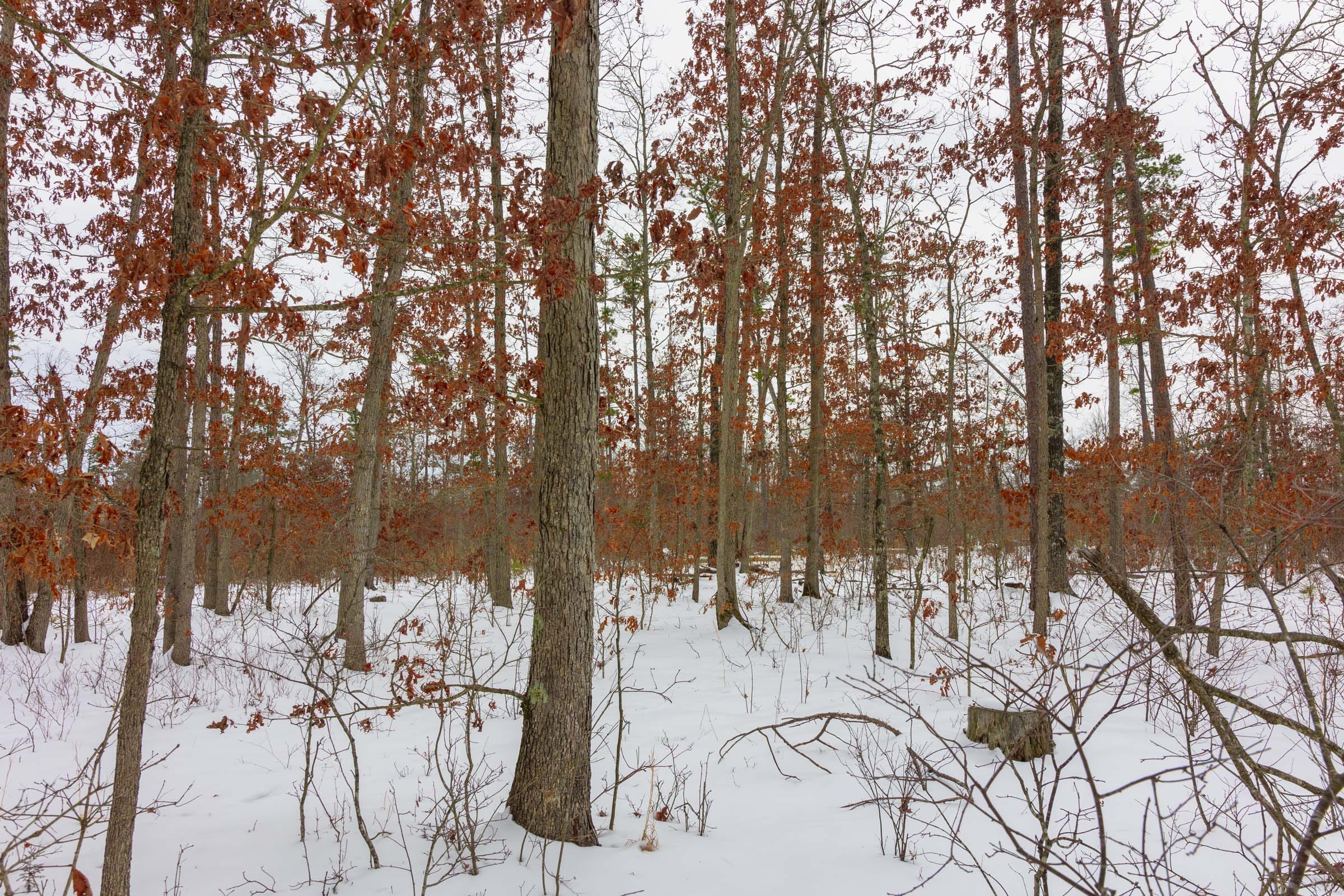 Sleepy Hollow Phase I Tract 9 photo 8