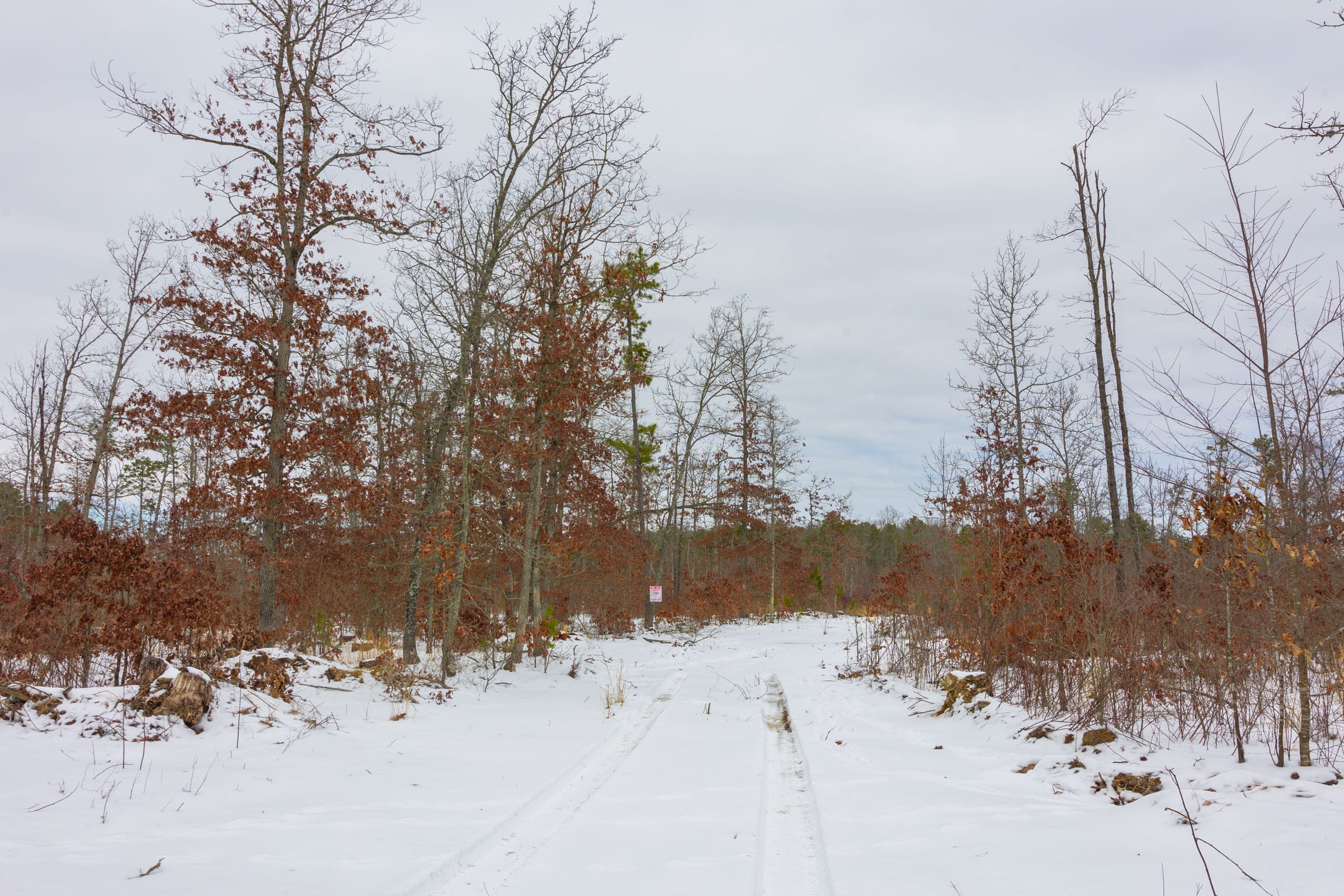 Sleepy Hollow Phase I Tract 9 photo 7