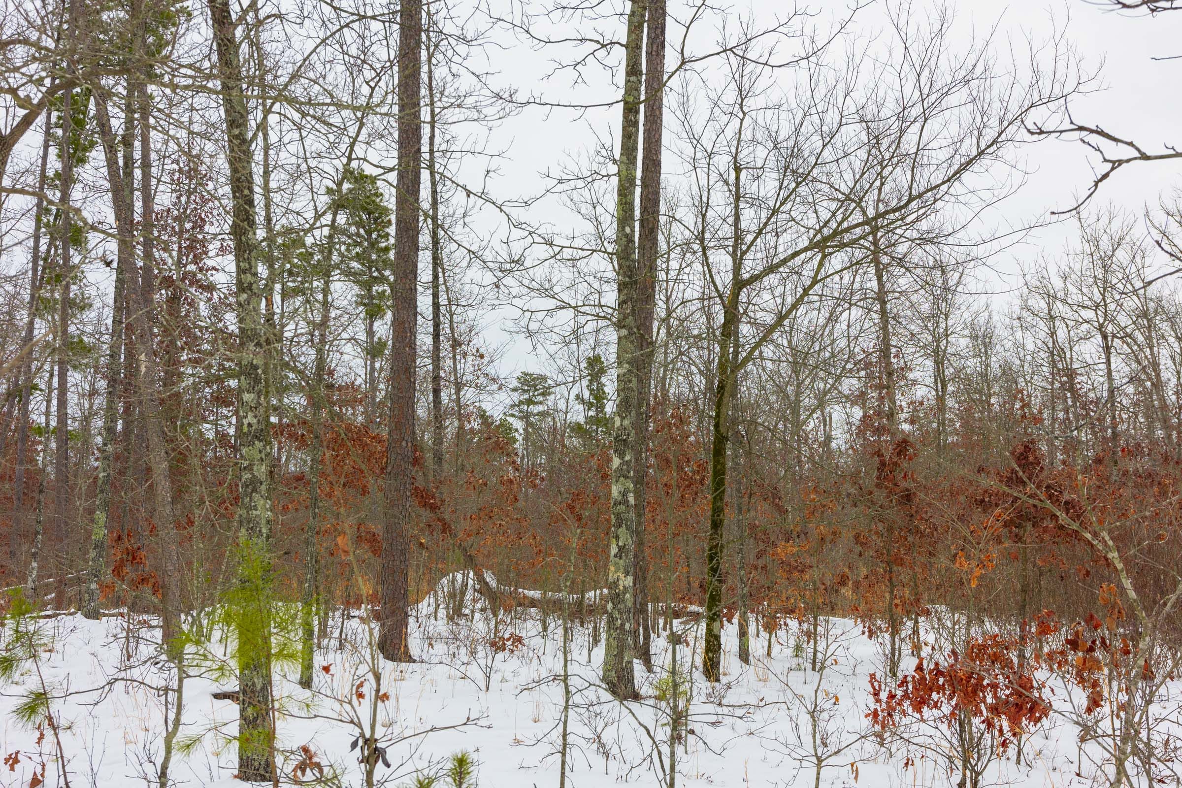 Sleepy Hollow Phase I Tract 9 photo 6