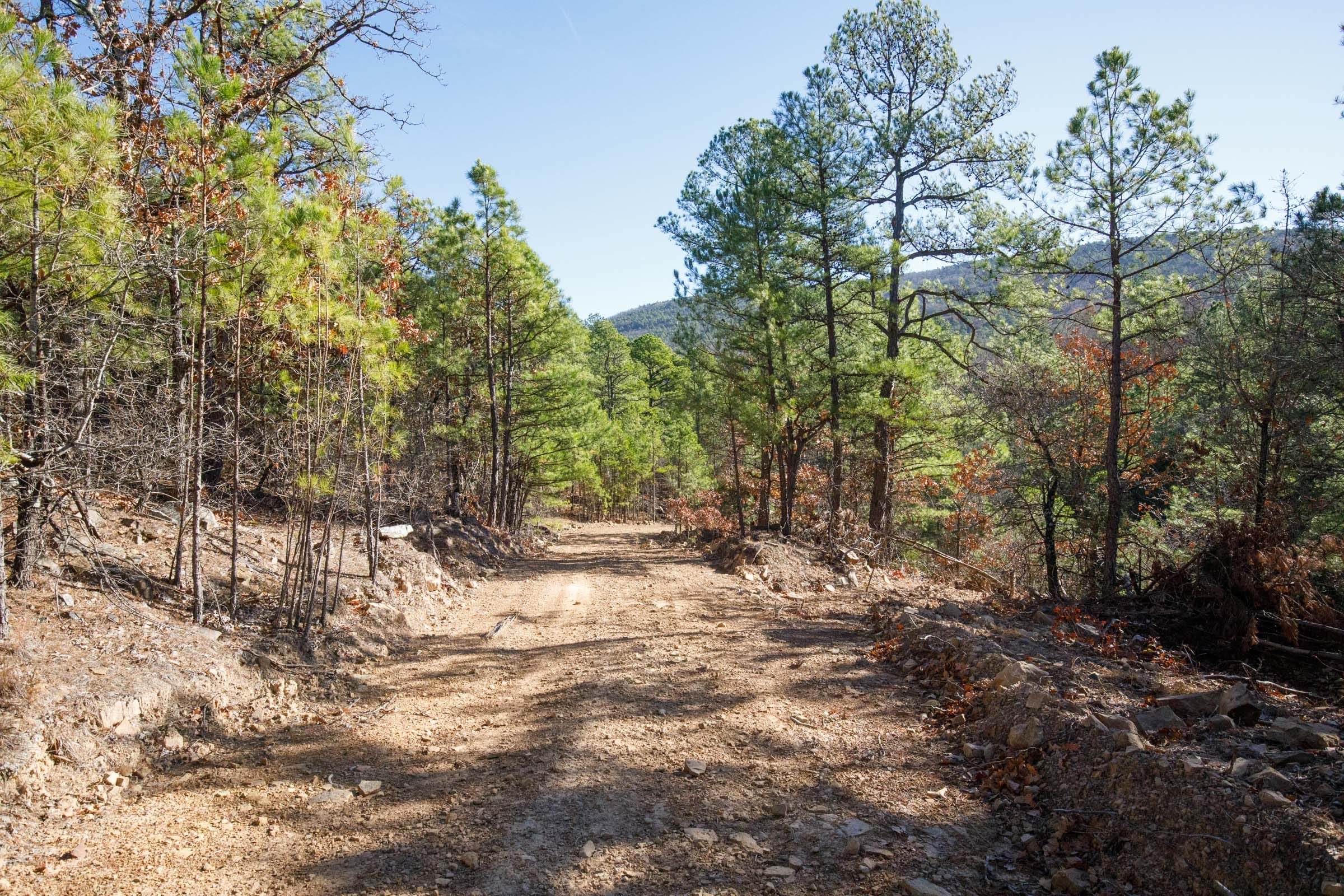 Stone Bridge Phase II Tract 108 photo 1