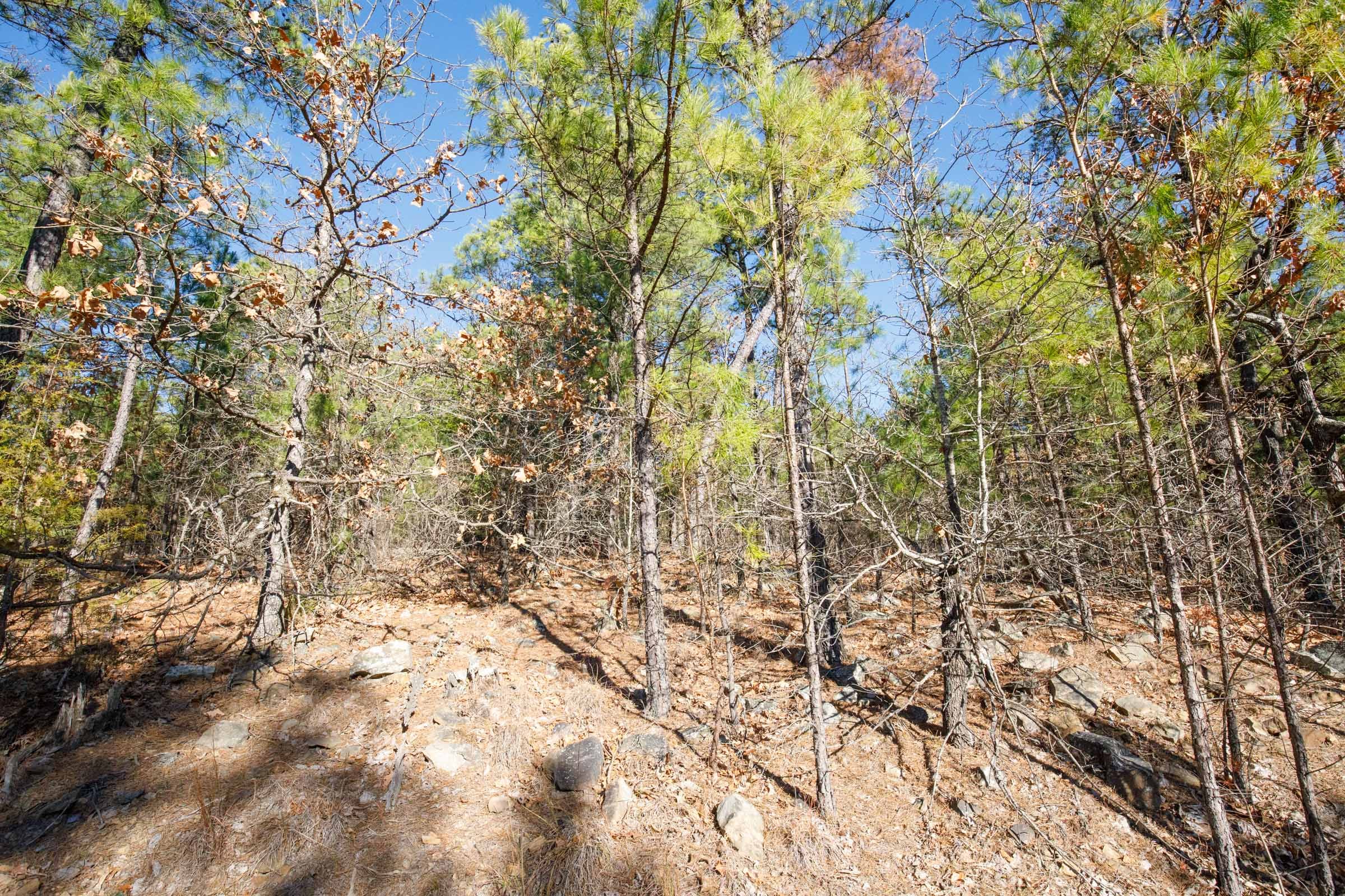 Stone Bridge Phase II Tract 108 photo 3