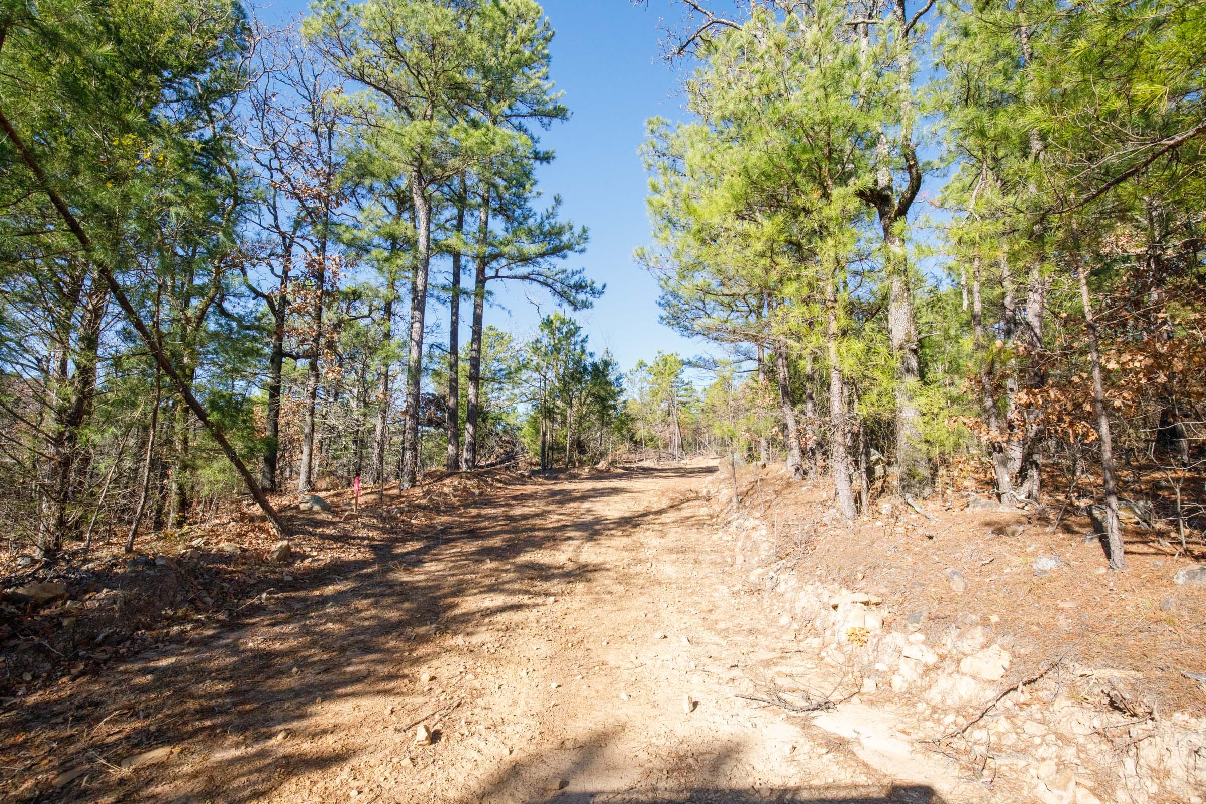 Stone Bridge Phase II Tract 108 photo 4