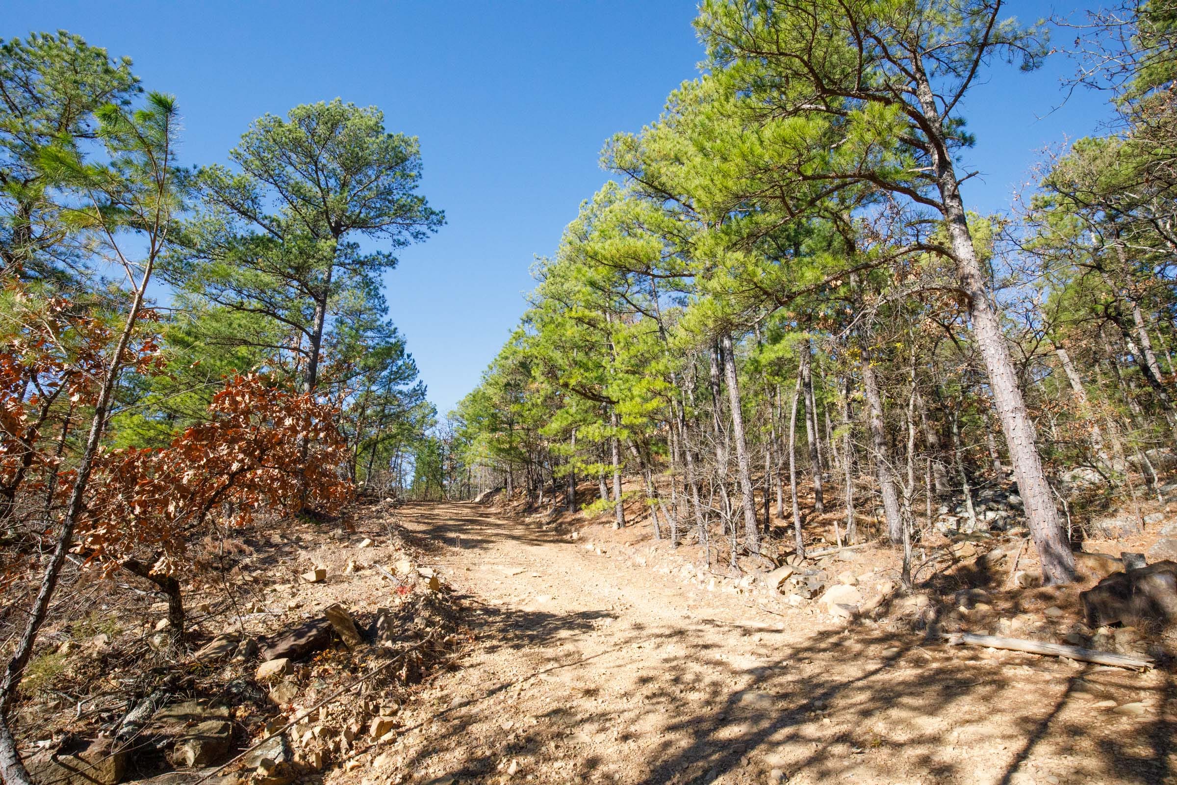 Stone Bridge Phase II Tract 108 photo 6