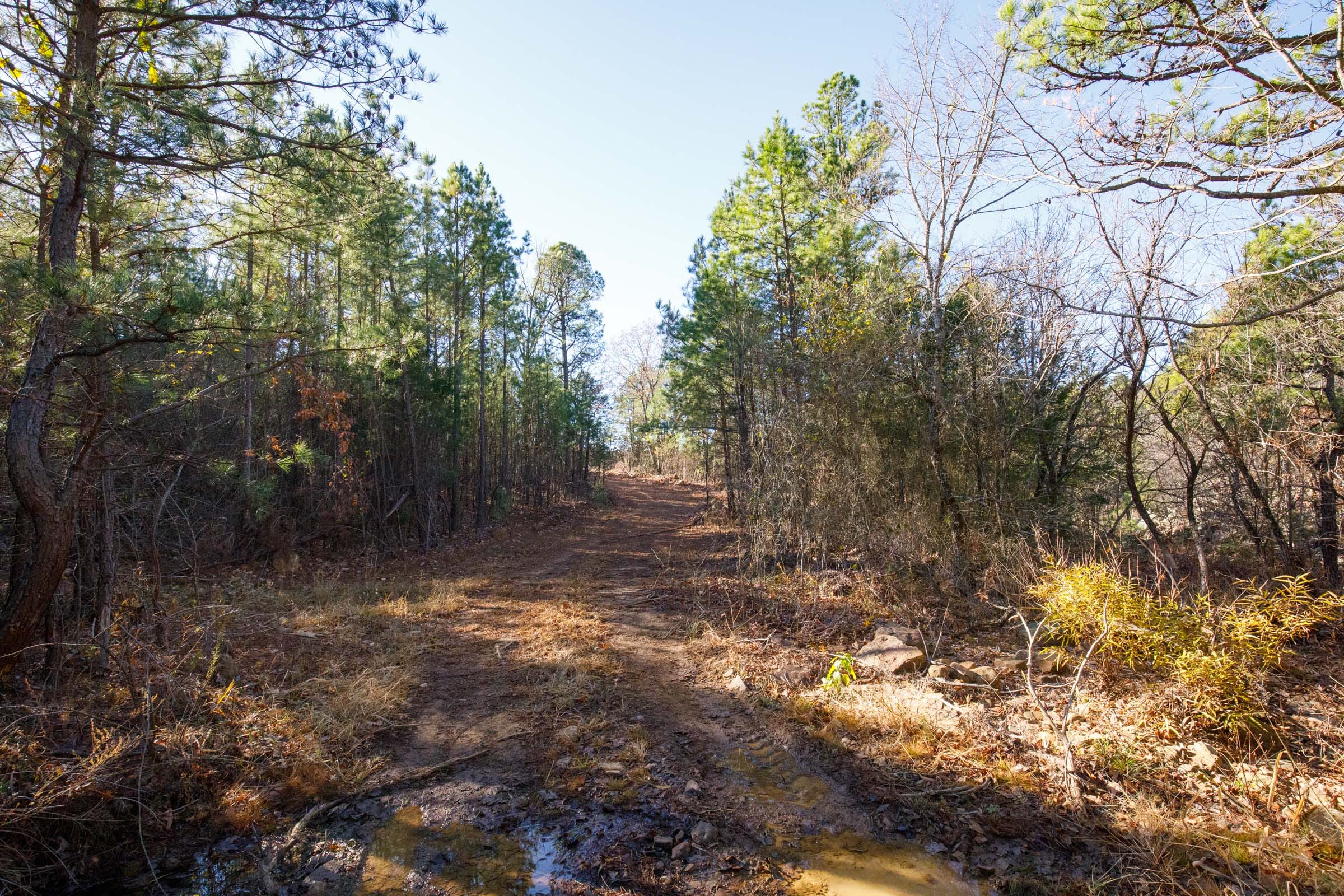Stone Bridge Phase II Tract 108 photo 7