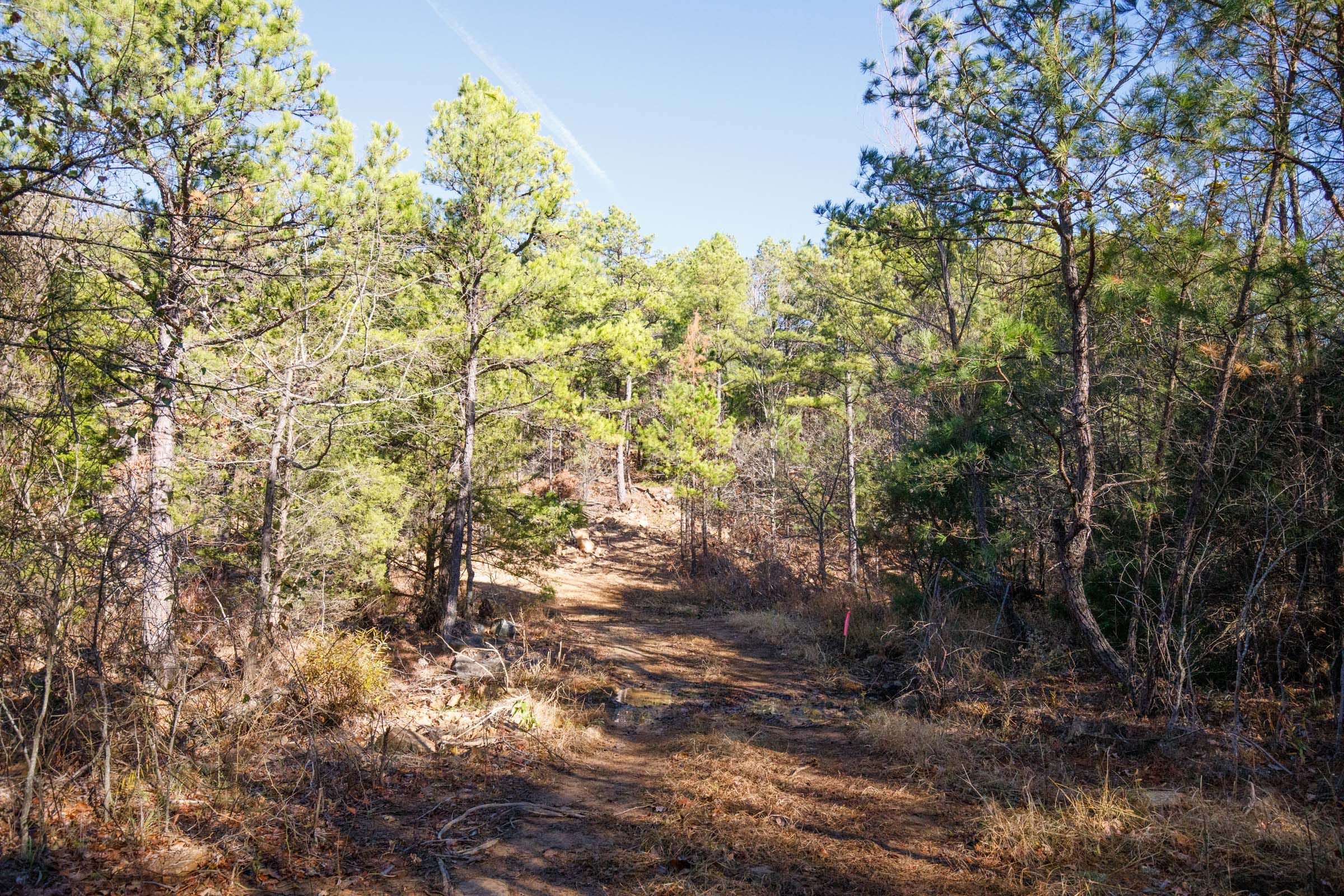 Stone Bridge Phase II Tract 108 photo 8
