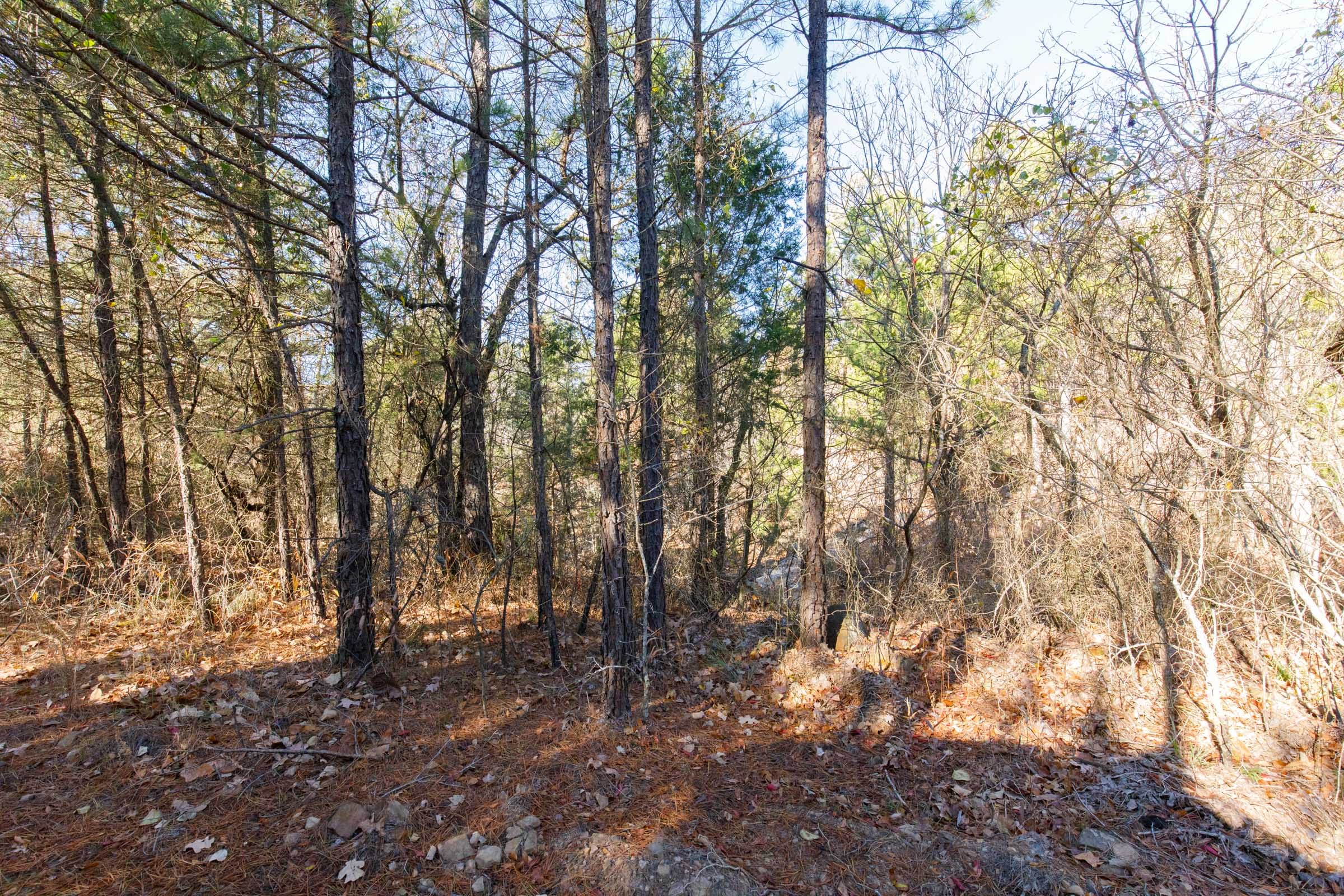 Stone Bridge Phase II Tract 108 photo 9