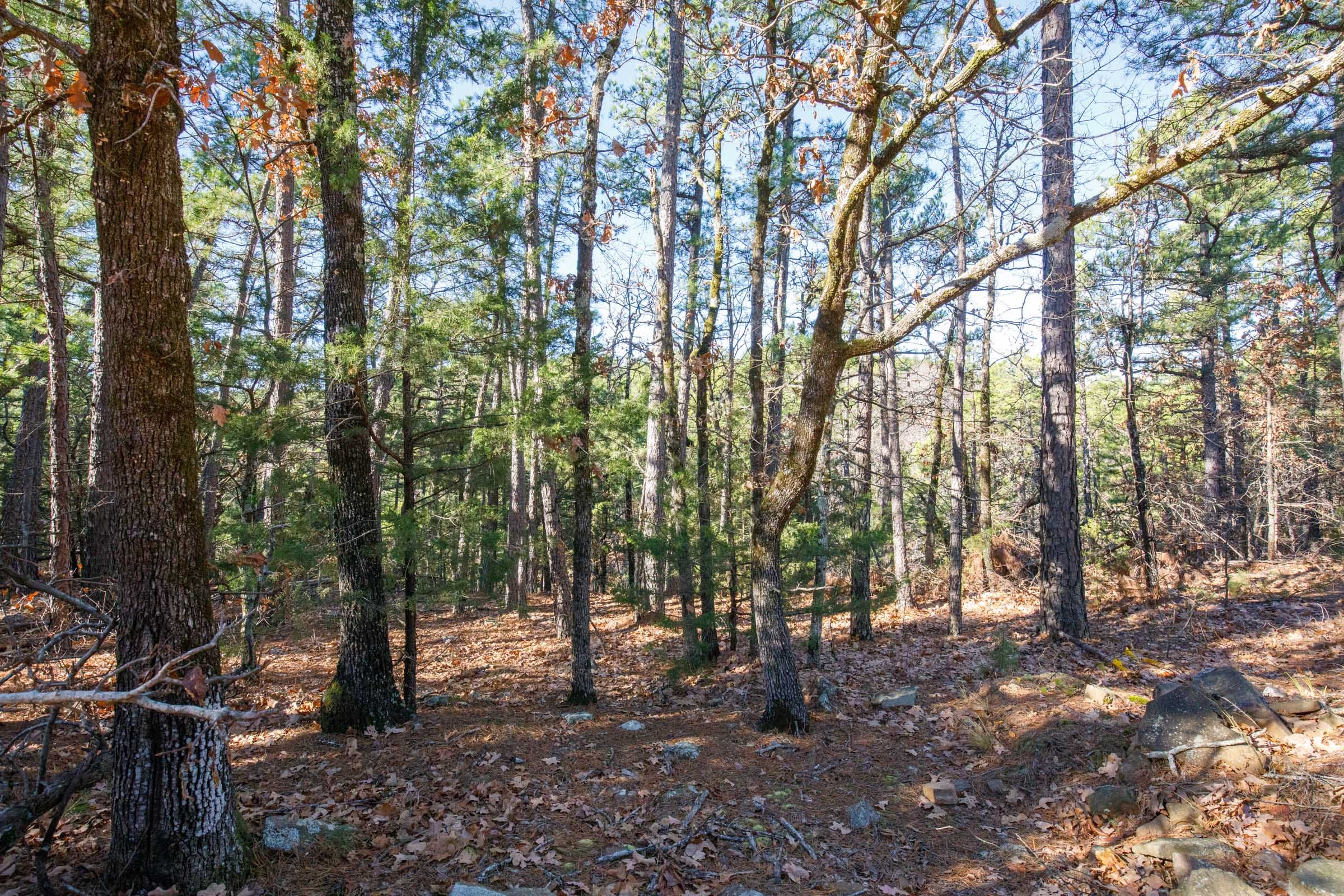 Stone Bridge Phase II Tract 108 photo 11