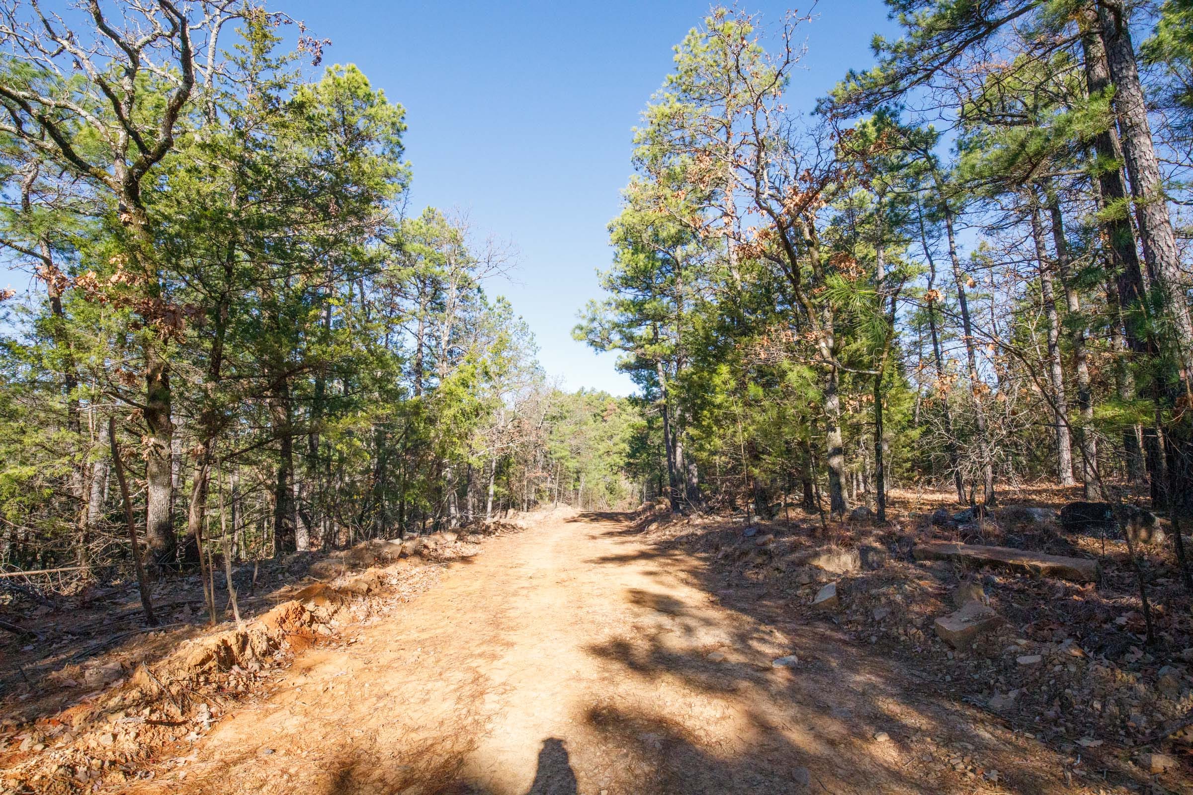 Stone Bridge Phase II Tract 108 photo 10