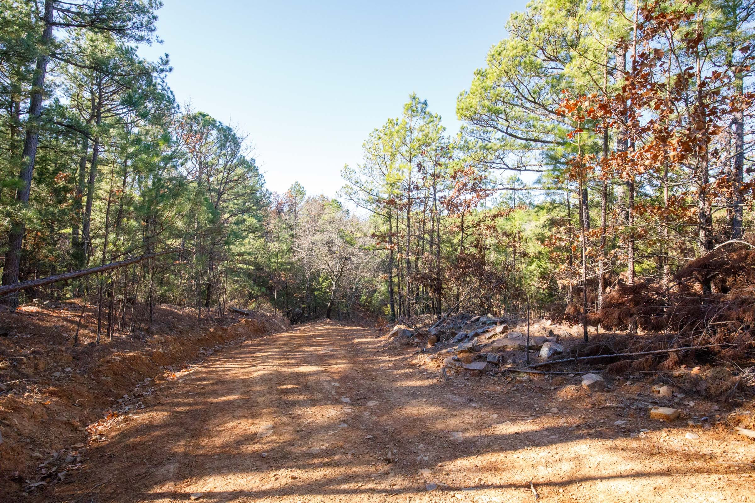 Stone Bridge Phase II Tract 108 photo 12