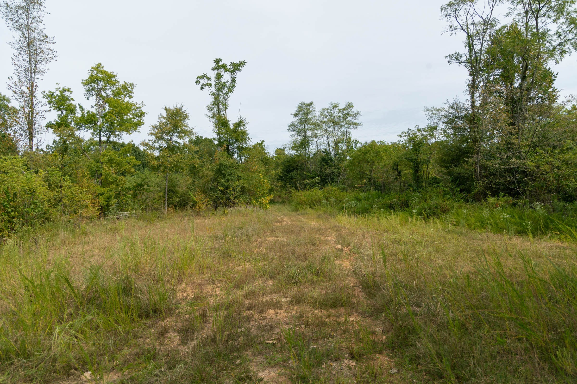 Big White Oak Tract 44 photo 8