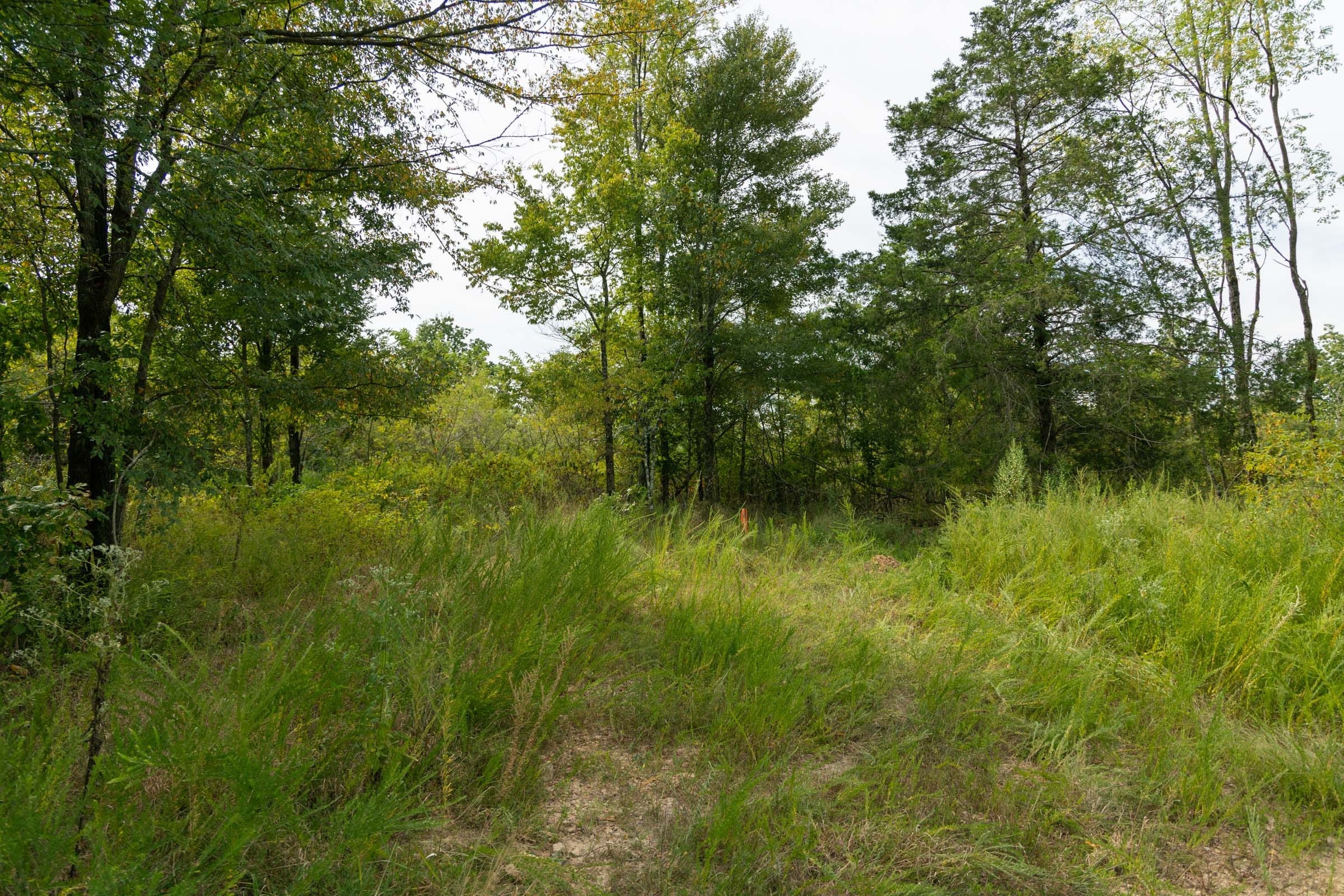 Big White Oak Tract 44 photo 4