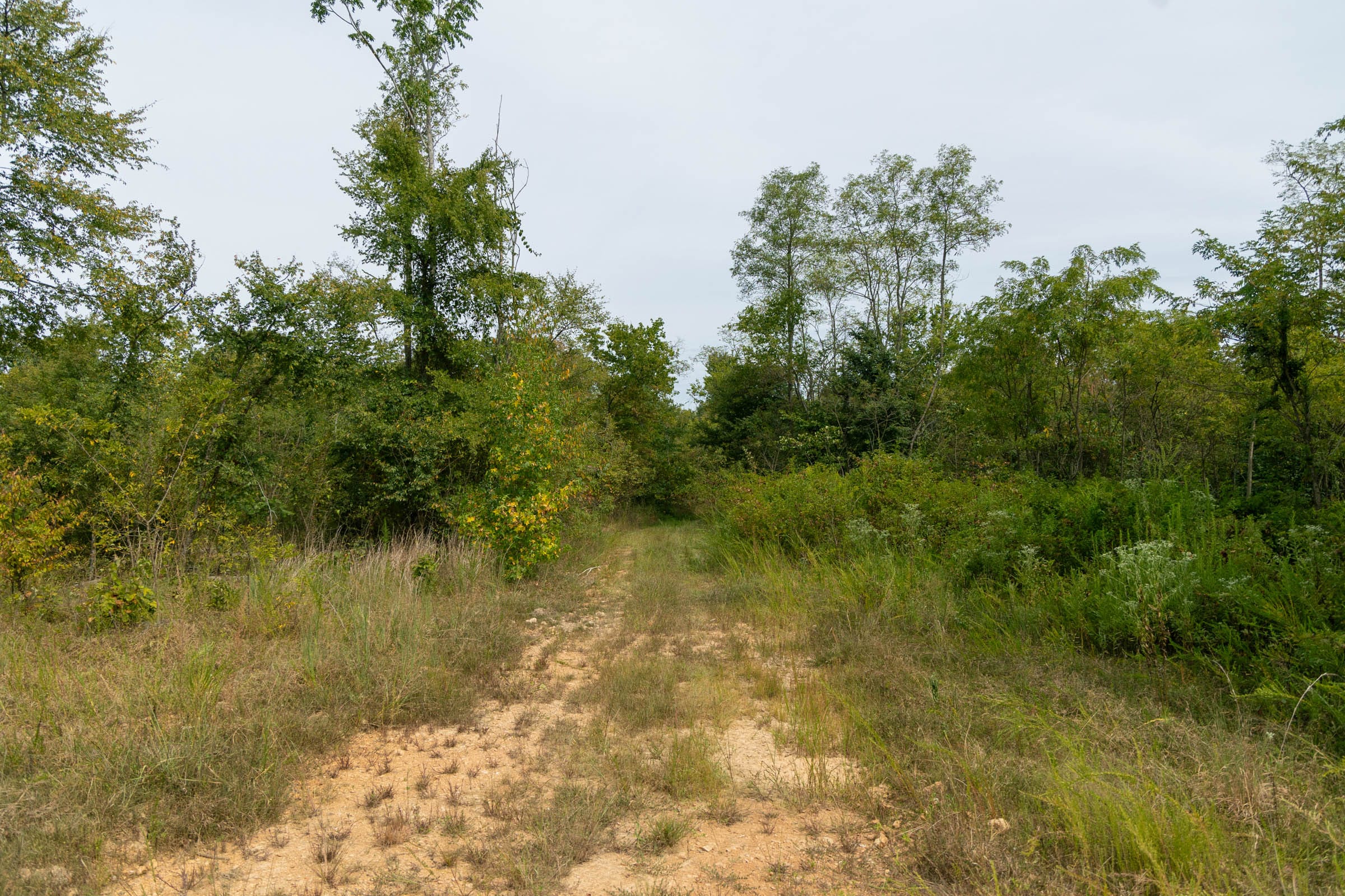 Big White Oak Tract 44 photo 1