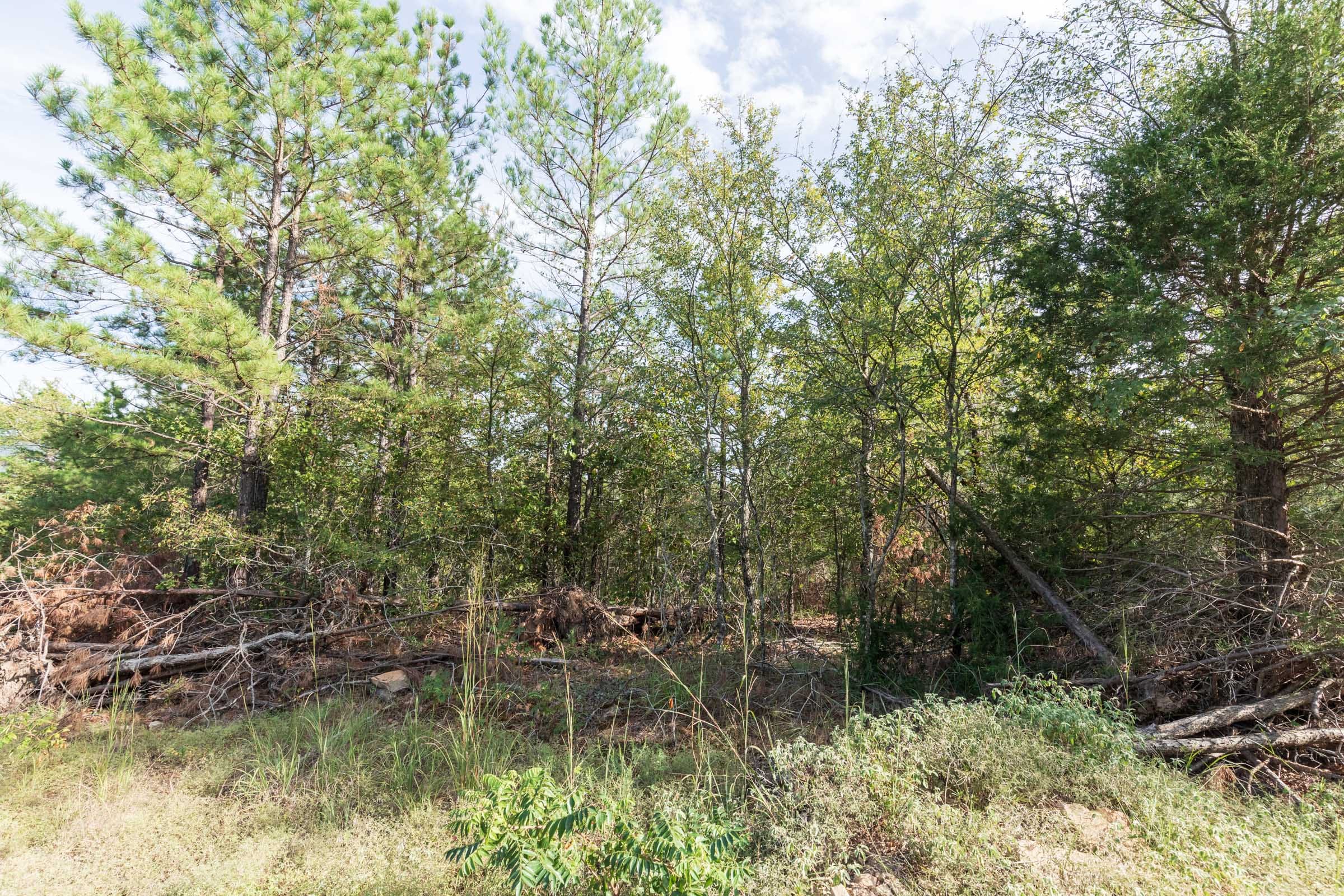 Stone Bridge Phase V Tract 401 photo 7
