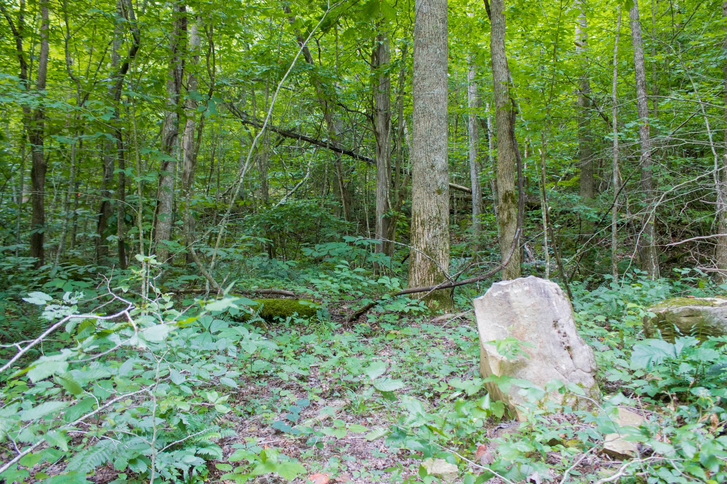 Bluewater Ridge Tract 12 photo 1