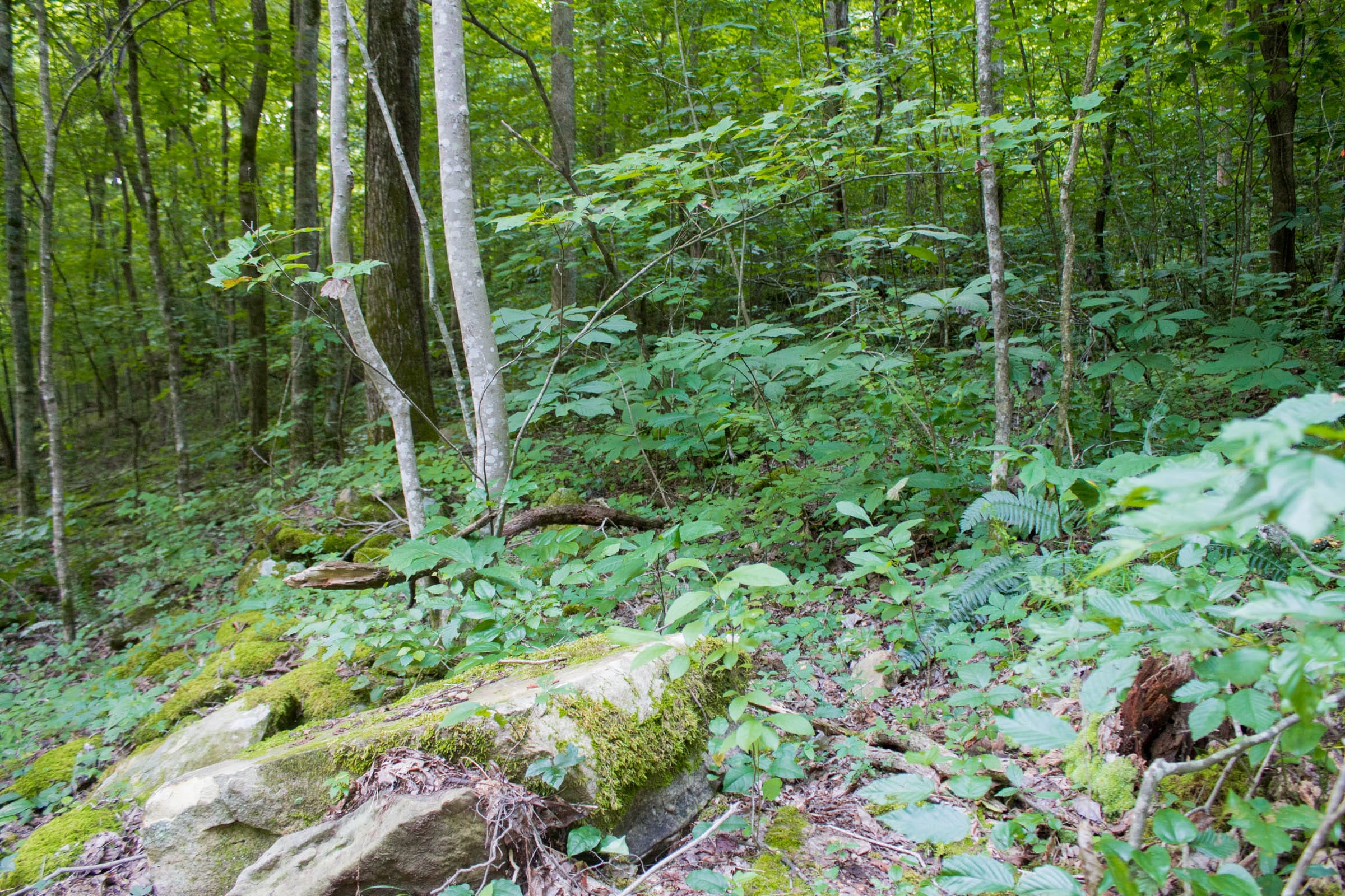 Bluewater Ridge Tract 12 photo 2