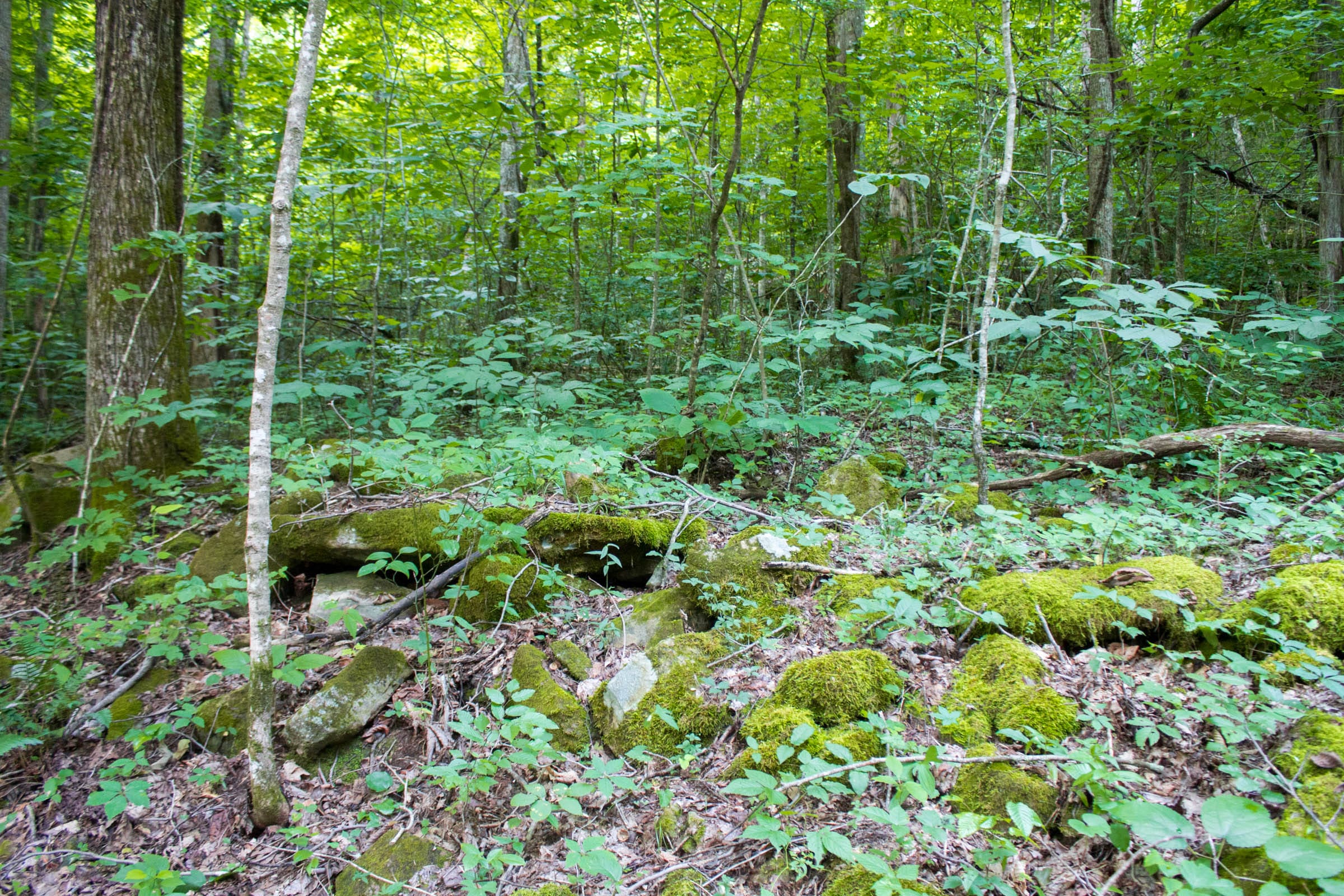 Bluewater Ridge Tract 12 photo 4