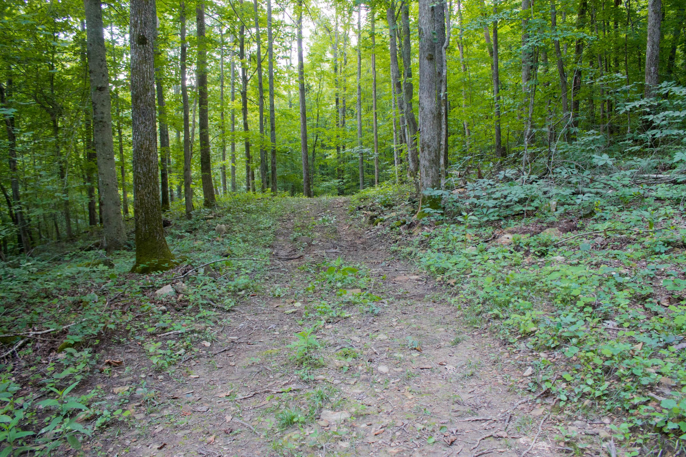 Bluewater Ridge Tract 12 photo 5