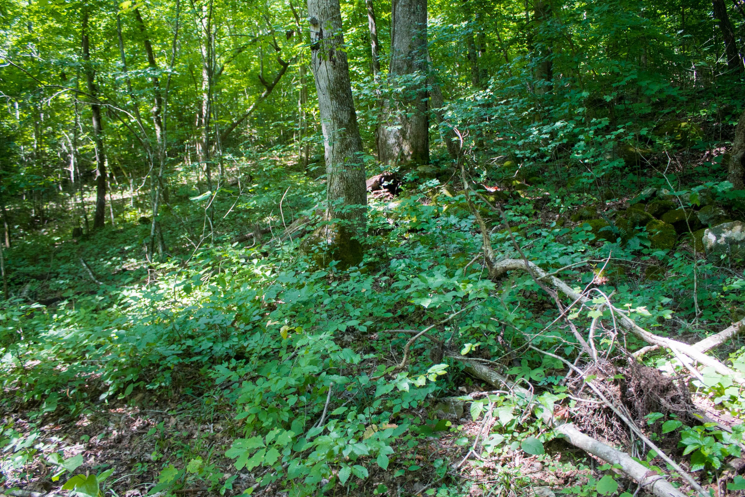 Bluewater Ridge Tract 12 photo 8