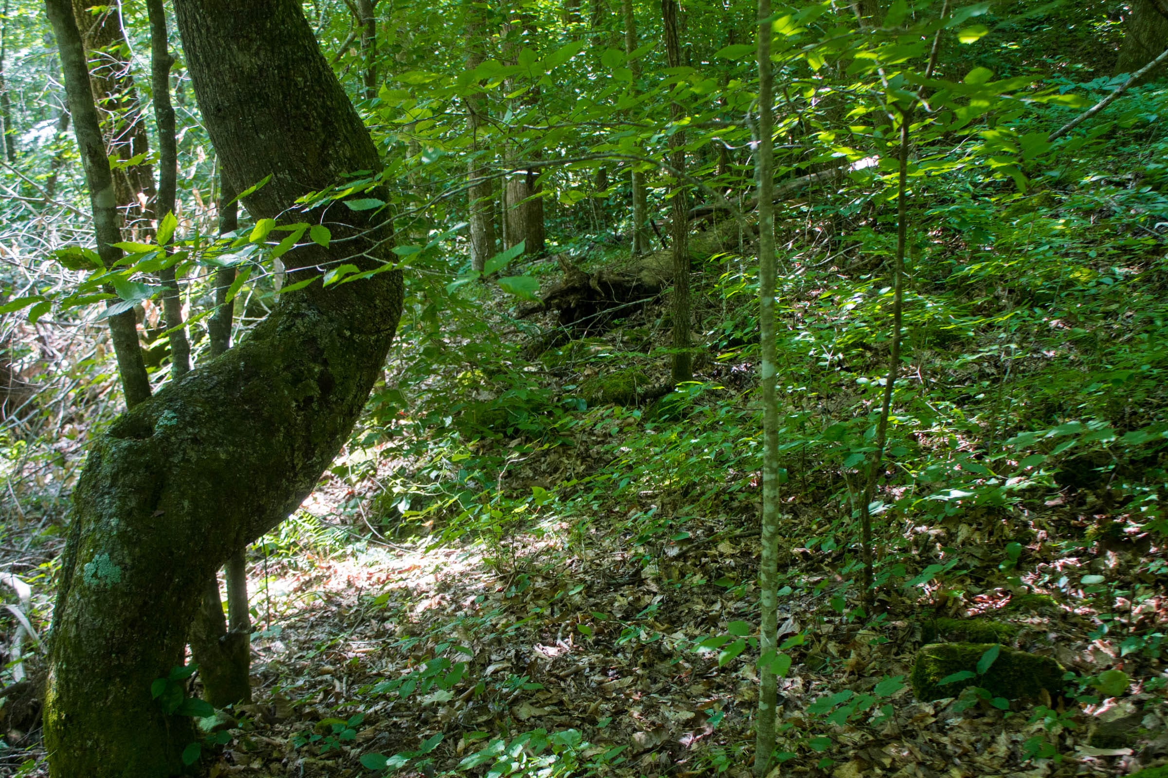 Bluewater Ridge Tract 12 photo 9