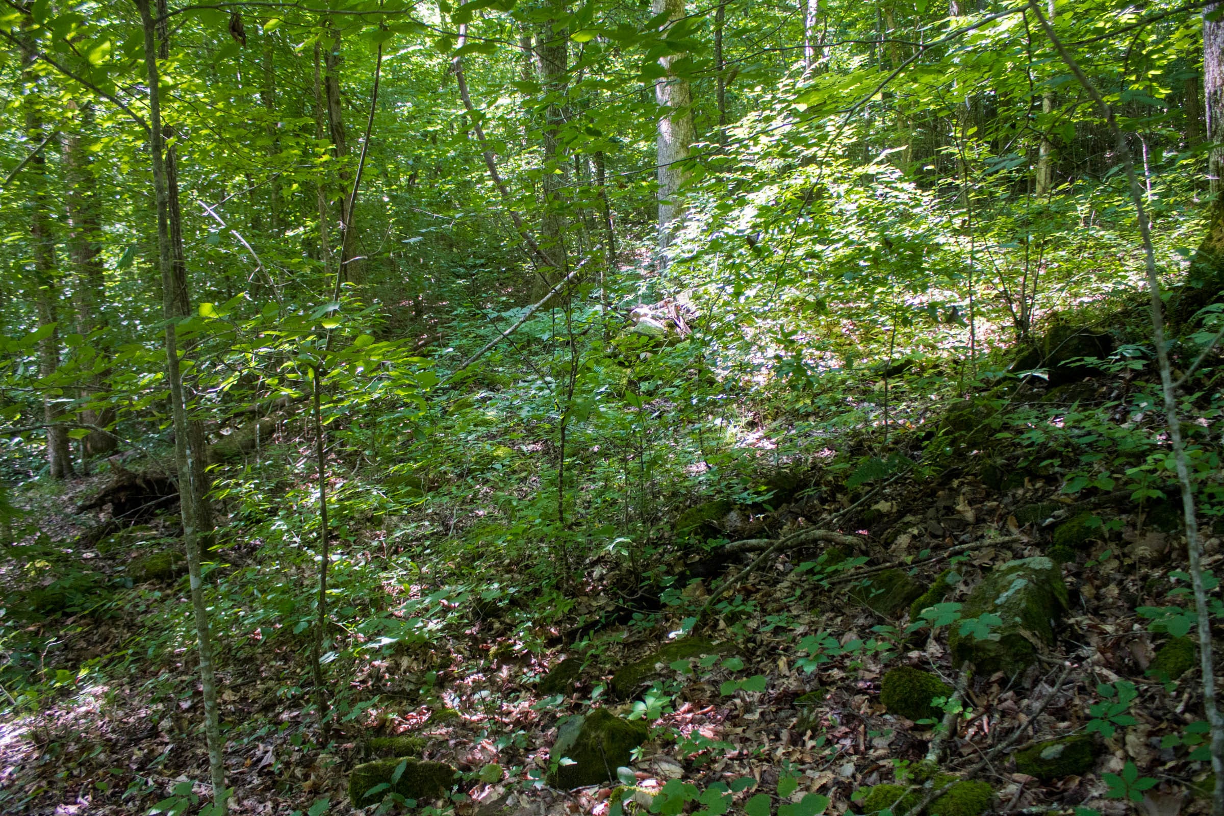 Bluewater Ridge Tract 12 photo 10