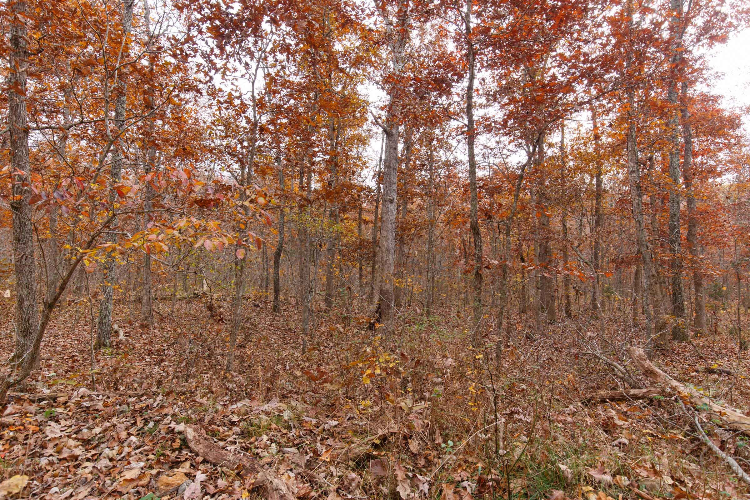 Hawkcrest Tract 28 photo 9