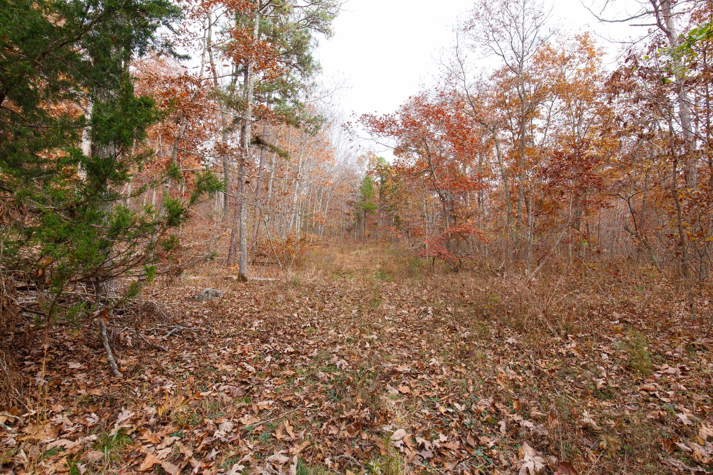 Hawkcrest Tract 28 photo 8
