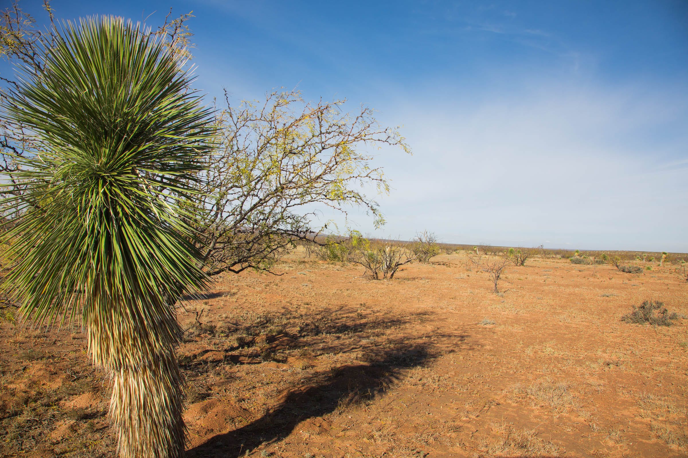 Sunset Ranches Tract 2 photo 6