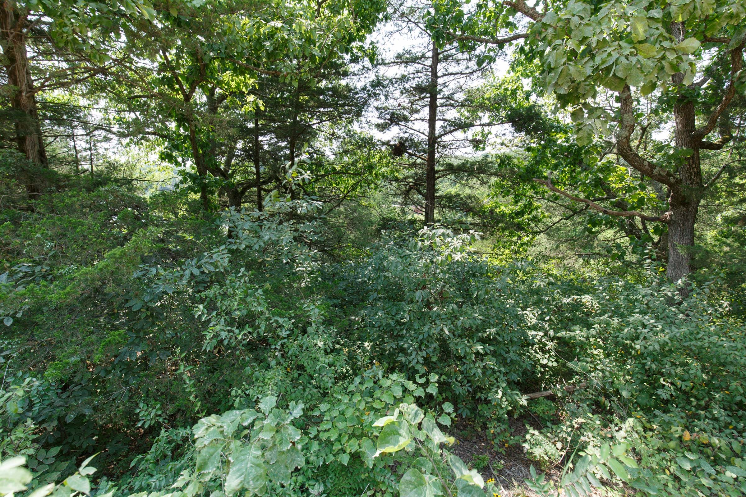 Spring Lake Plat 6 Tract 119 photo 2