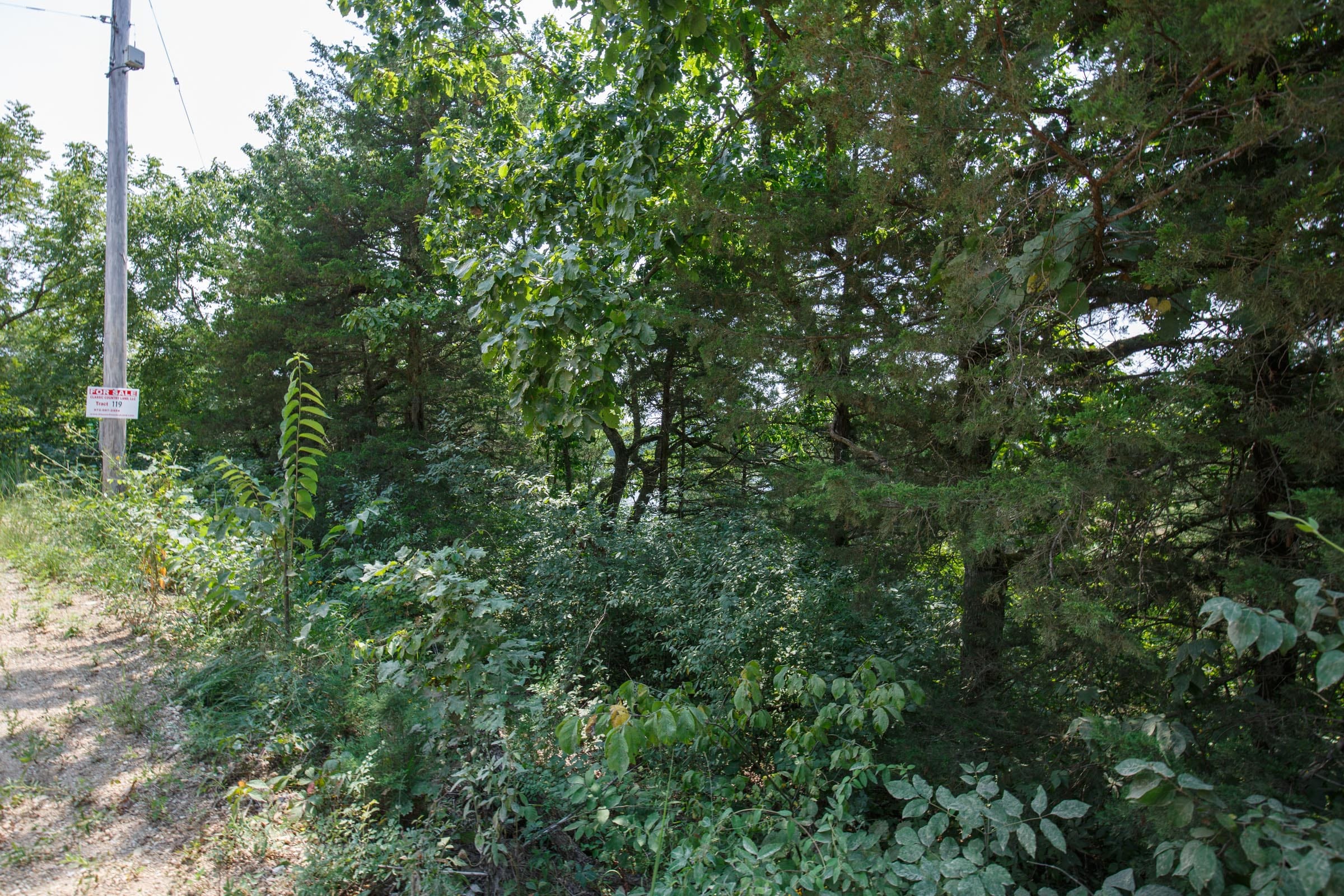 Spring Lake Plat 6 Tract 119 photo 4