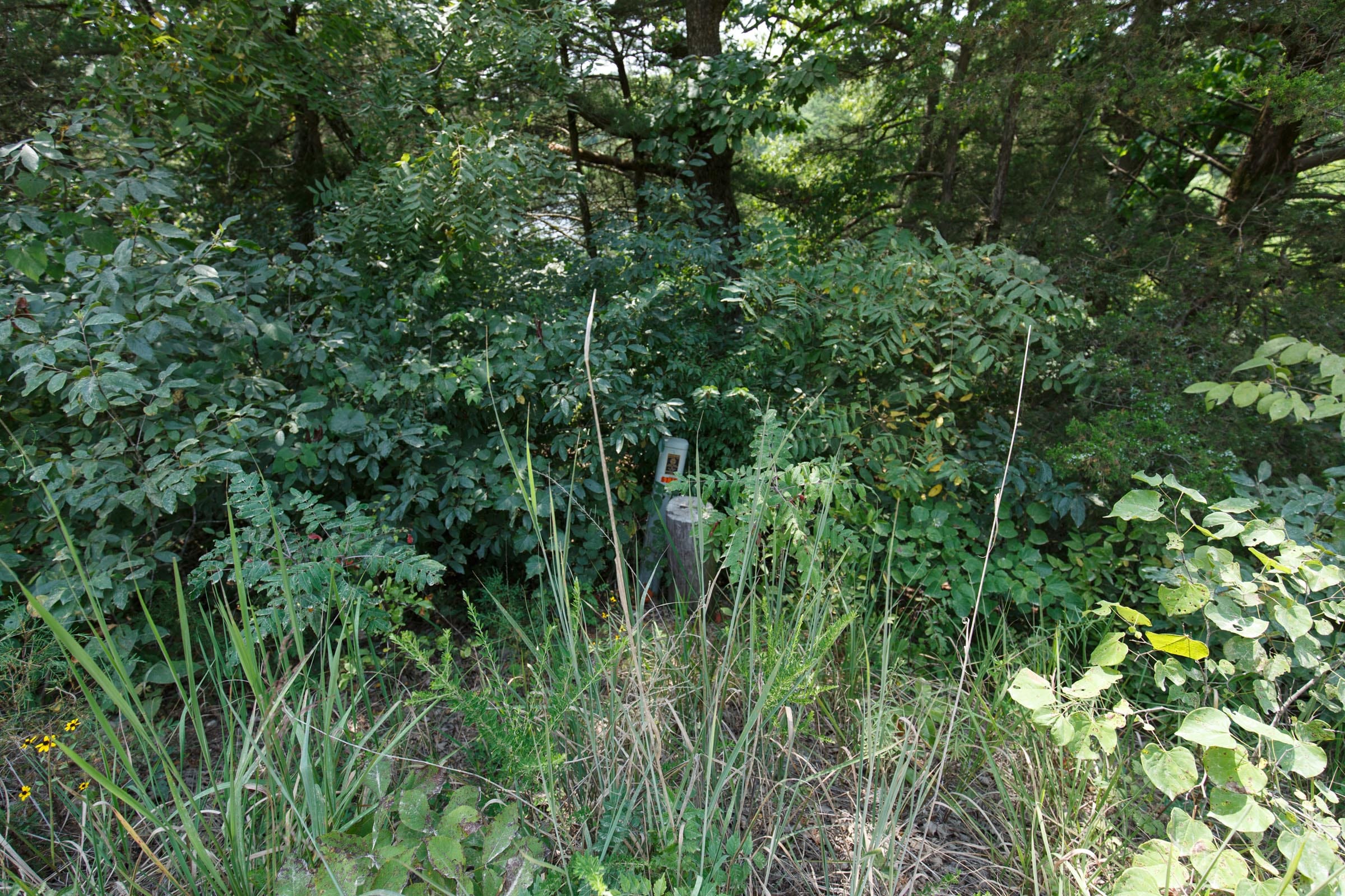 Spring Lake Plat 6 Tract 119 photo 11