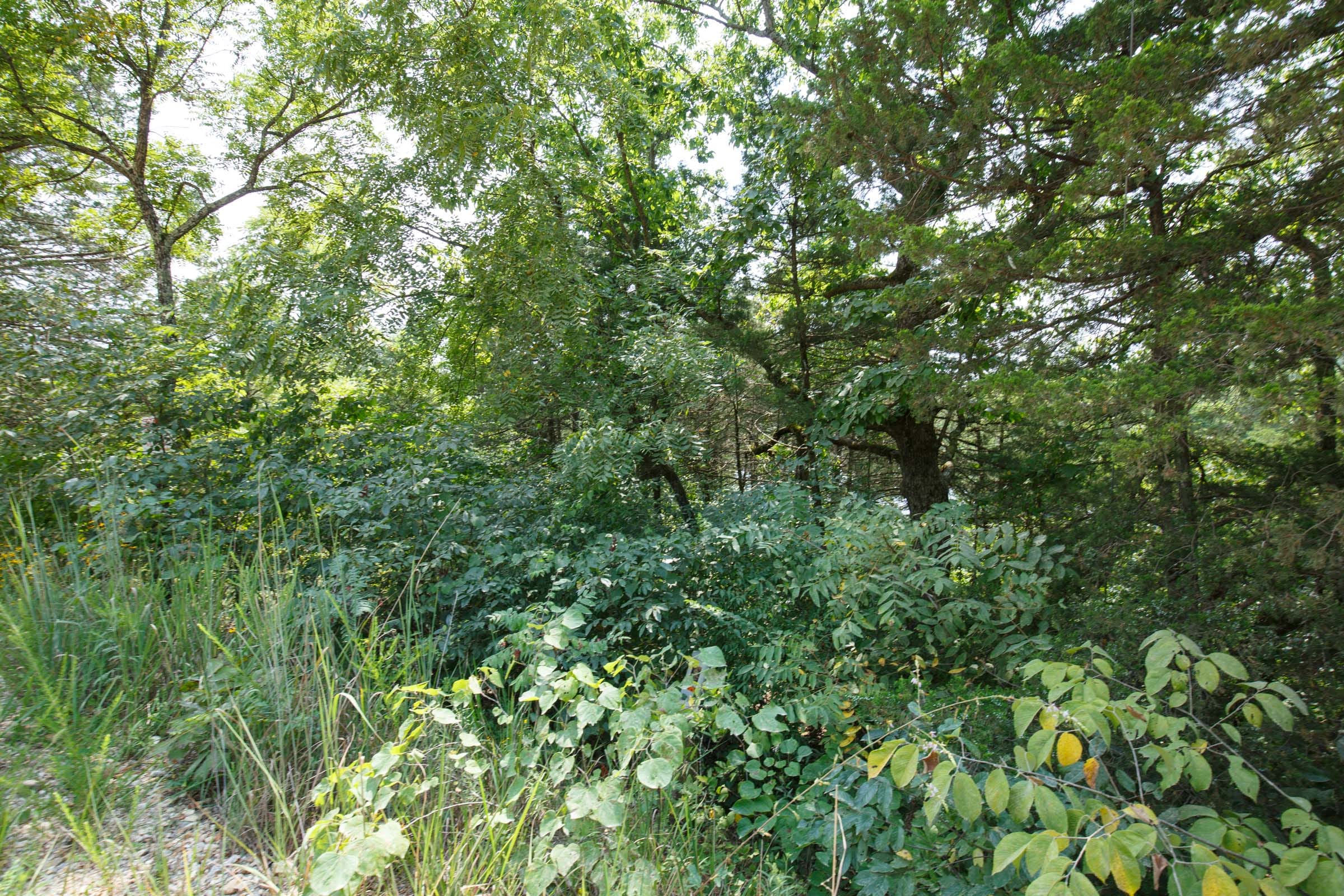 Spring Lake Plat 6 Tract 119 photo 13