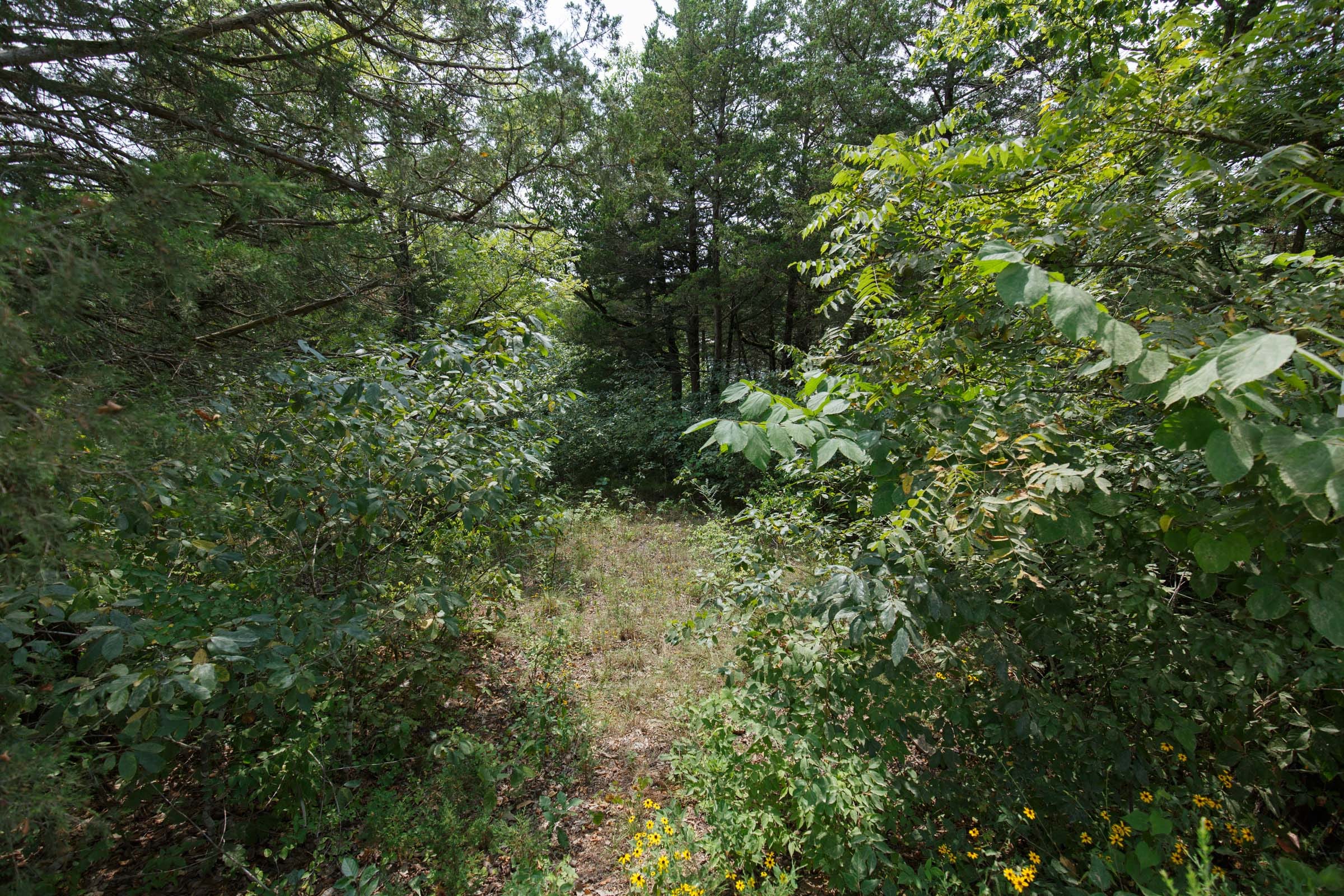 Spring Lake Plat 6 Tract 119 photo 14