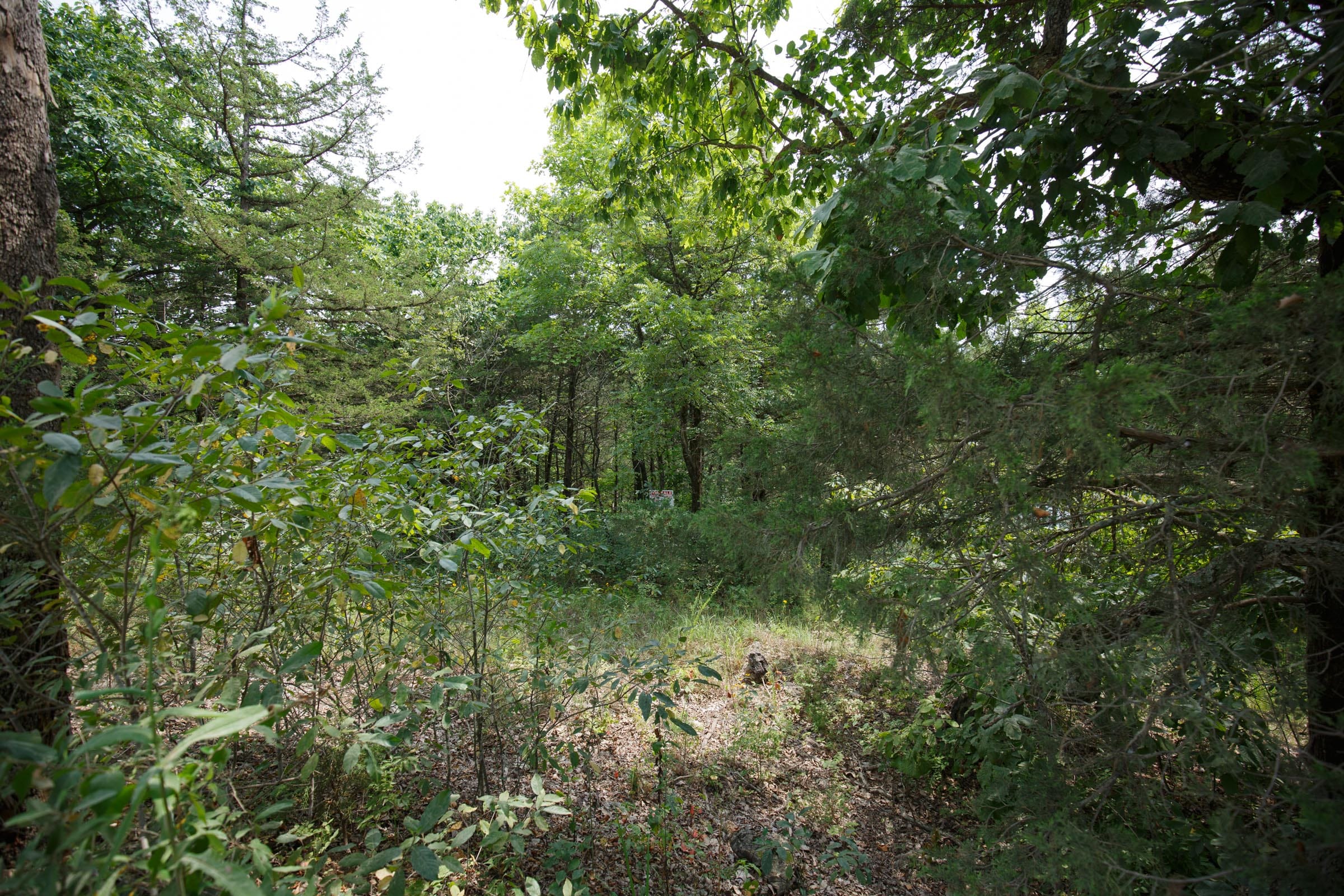 Spring Lake Plat 6 Tract 119 photo 15