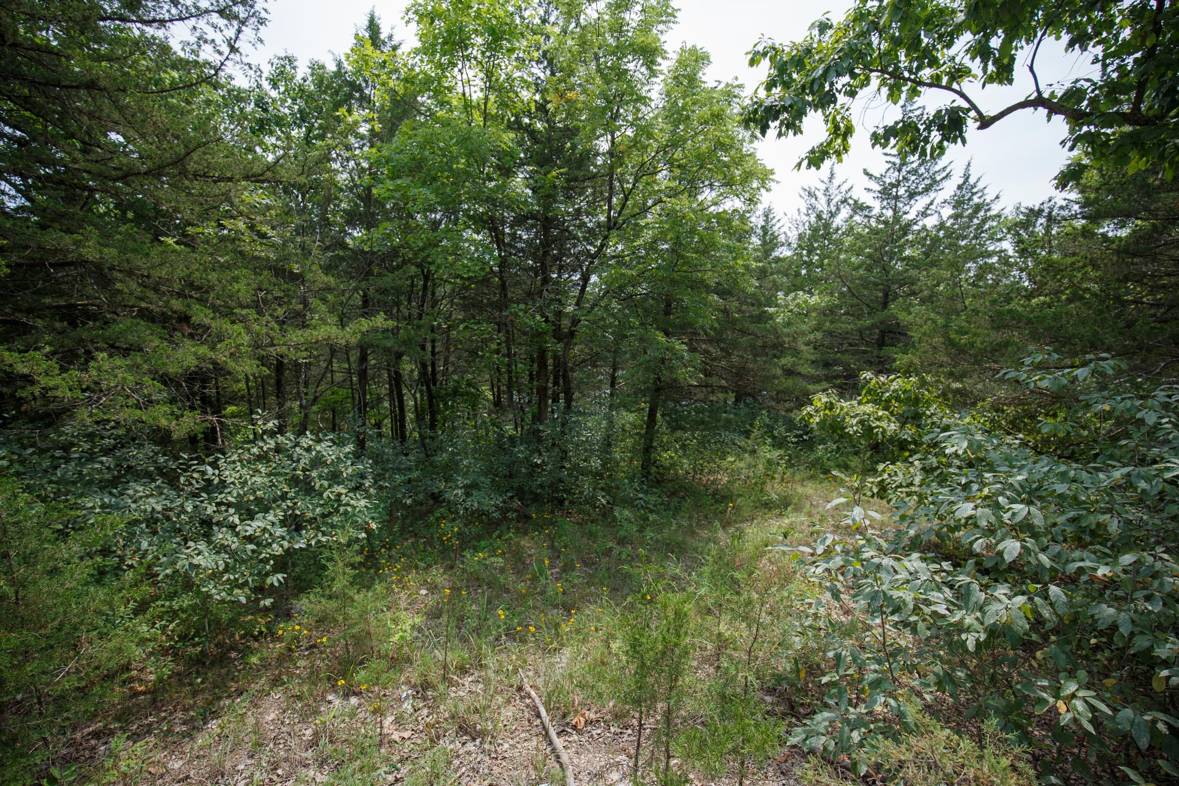 Spring Lake Plat 6 Tract 119 photo 3