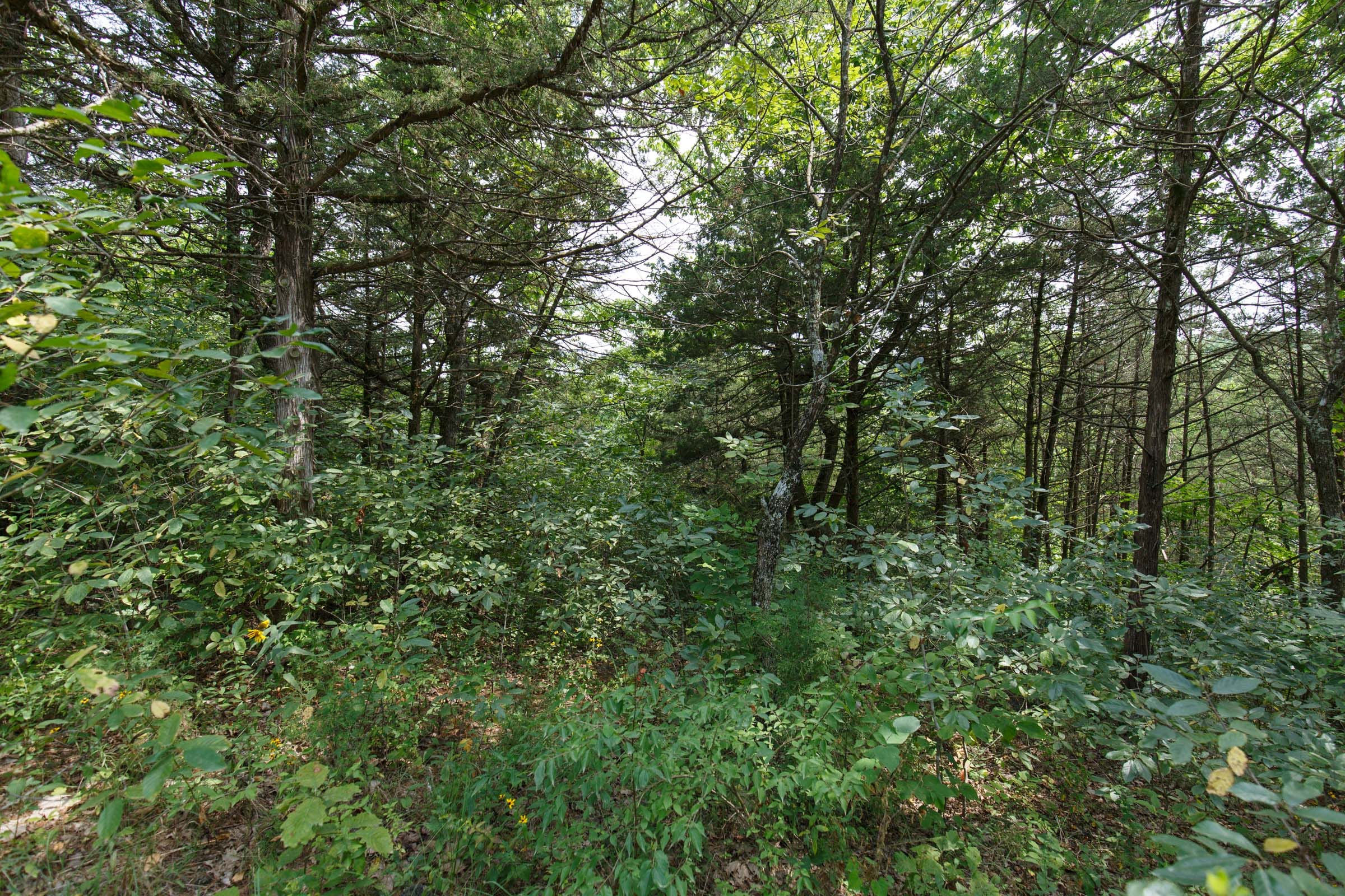 Spring Lake Plat 6 Tract 119 photo 6