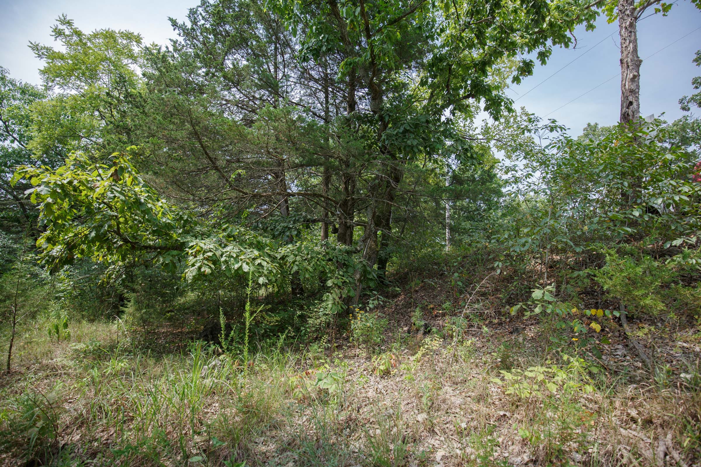 Spring Lake Plat 6 Tract 119 photo 16