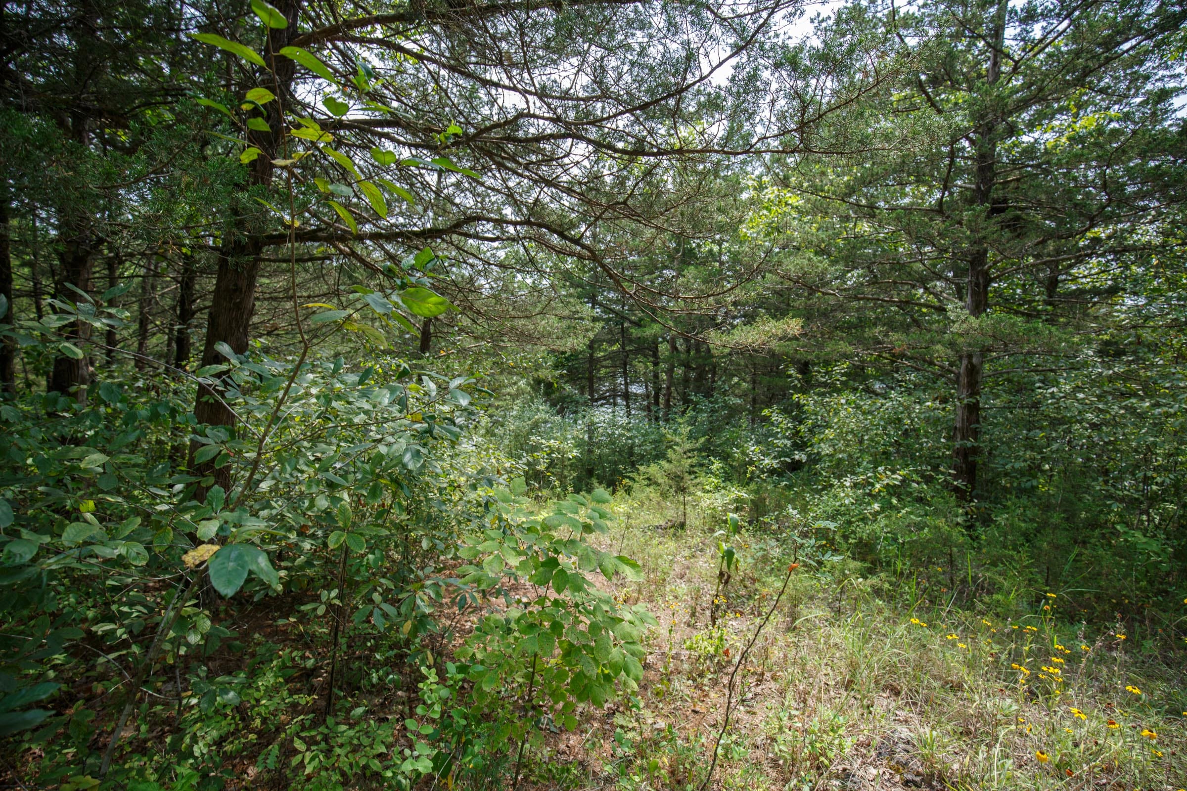 Spring Lake Plat 6 Tract 119 photo 9