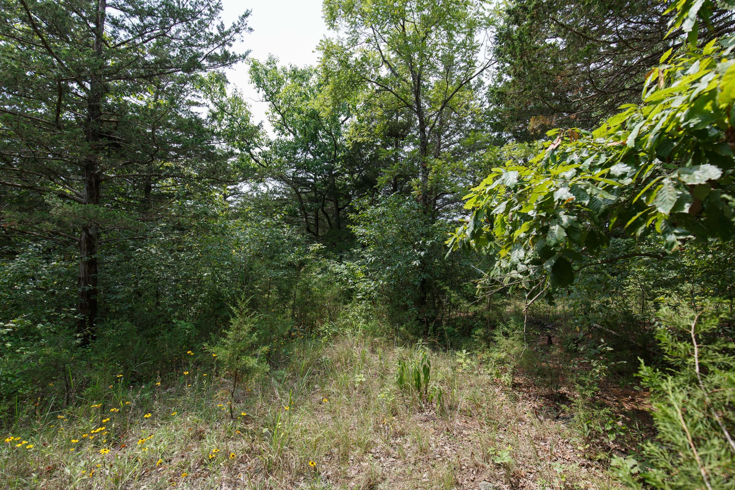 Spring Lake Plat 6 Tract 119 photo 18