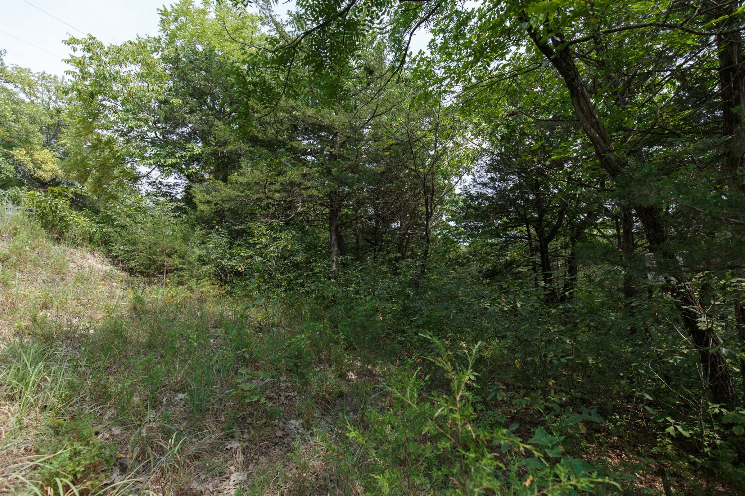 Spring Lake Plat 6 Tract 119 photo 19