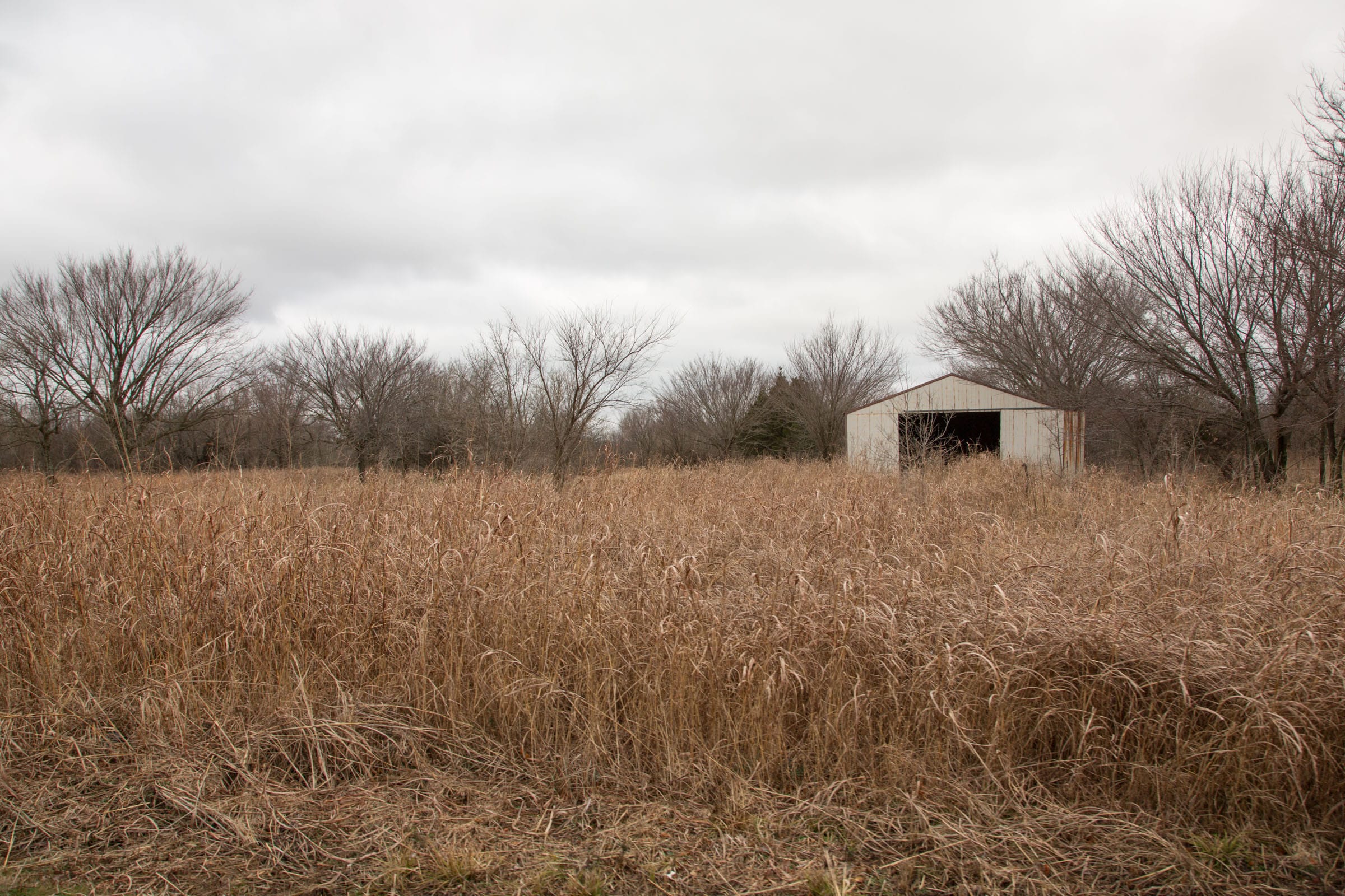 Canadian Plains Tract 2 photo 3