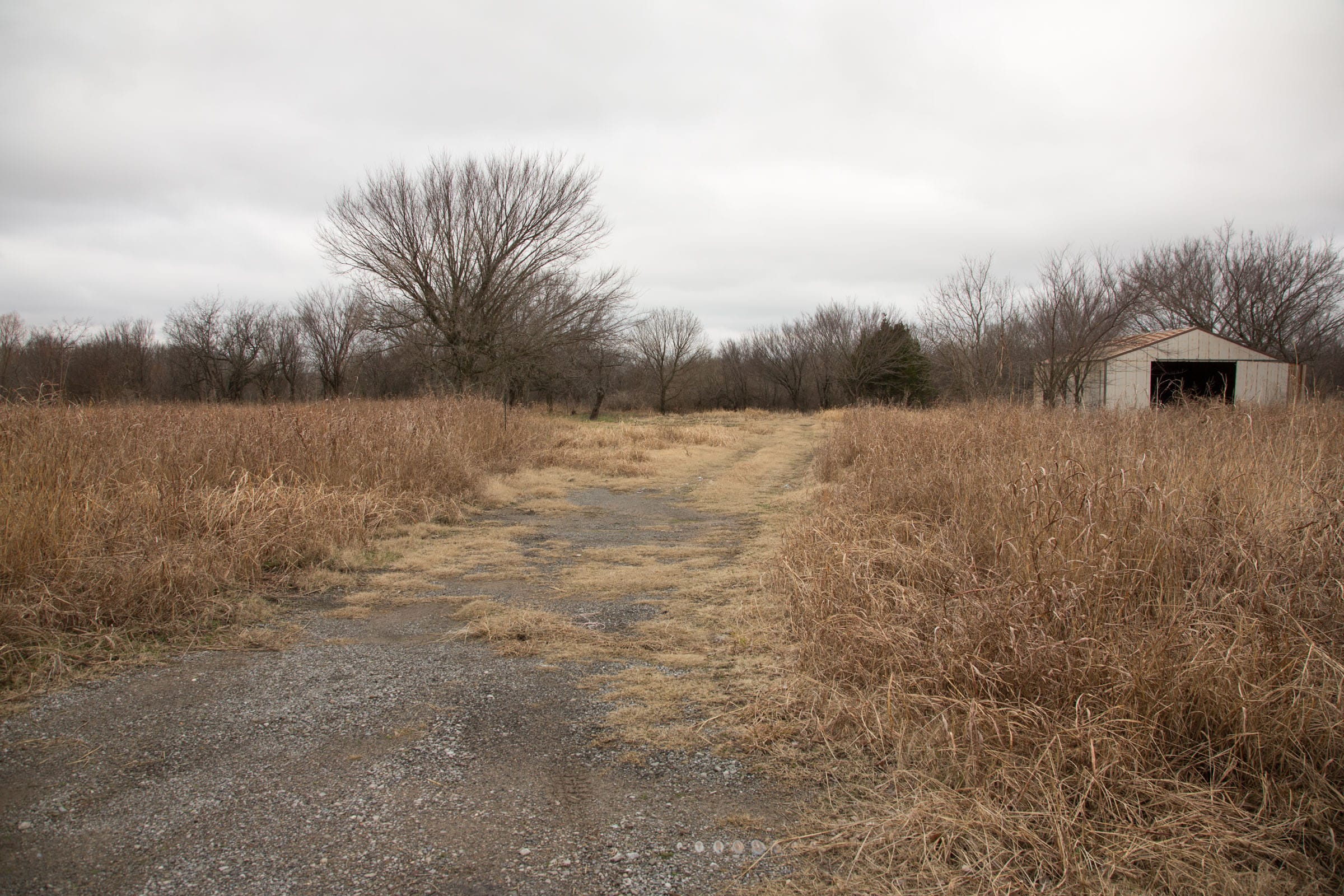 Canadian Plains Tract 2 photo 4
