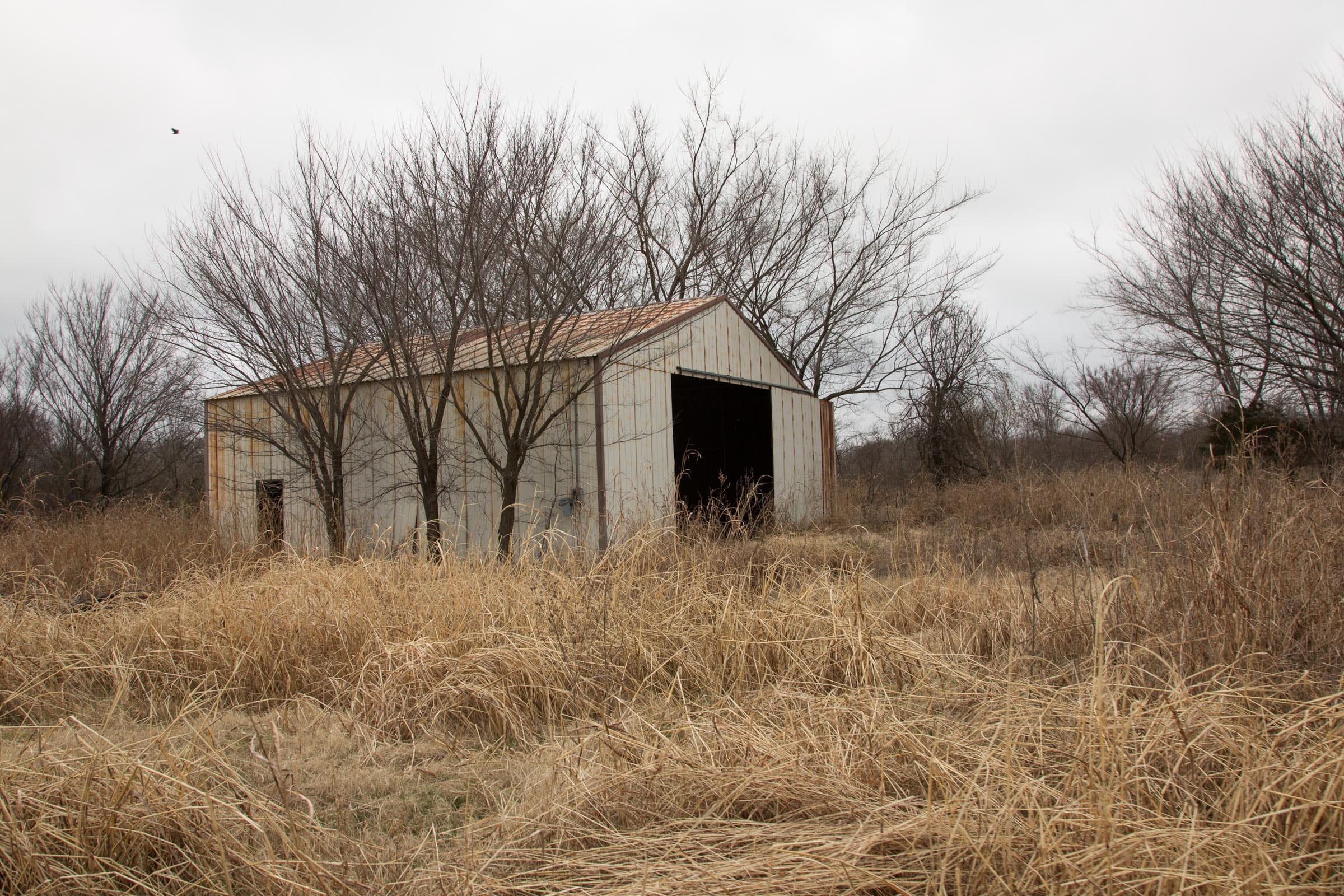 Canadian Plains Tract 2 photo 5
