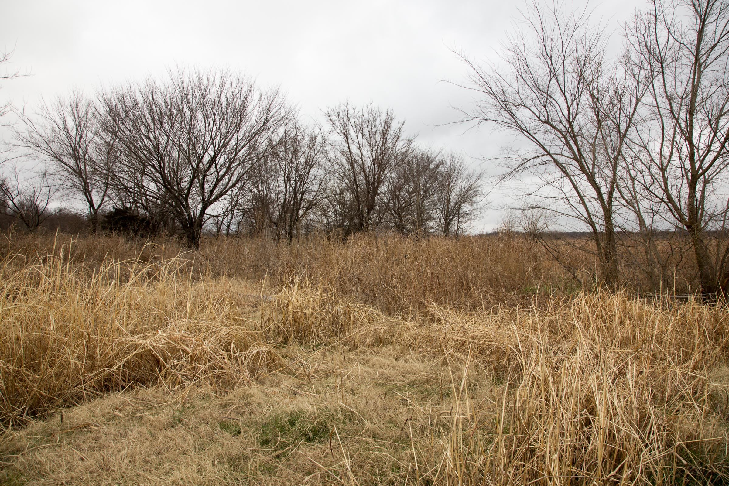 Canadian Plains Tract 2 photo 6