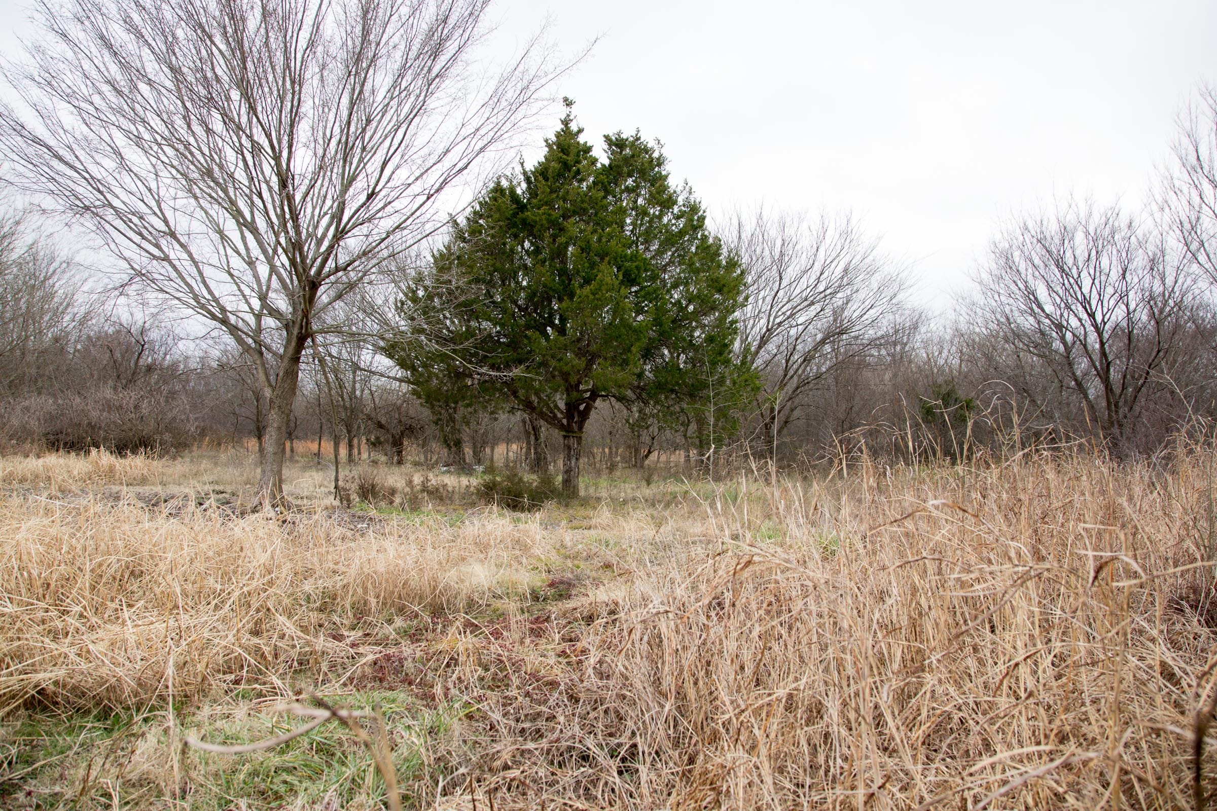 Canadian Plains Tract 2 photo 9